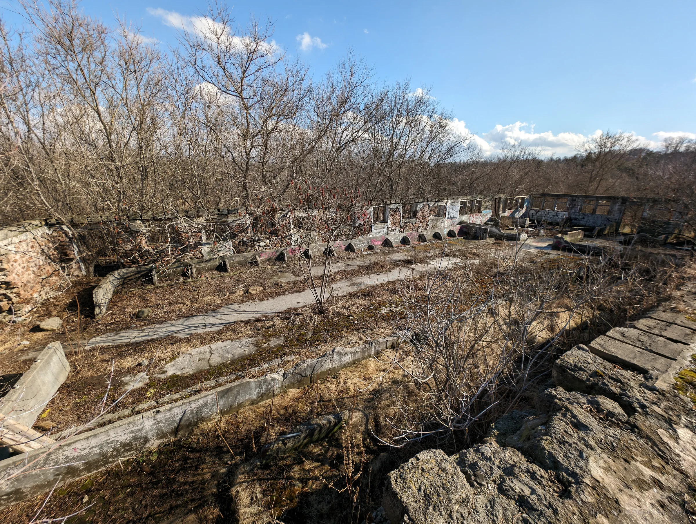 A wide view over the overgrown ruins: a long row of roofless stone and block pens with small arched troughs, cracked concrete paths and bare winter trees under a blue sky. It shows the scale and layout of the abandoned complex.