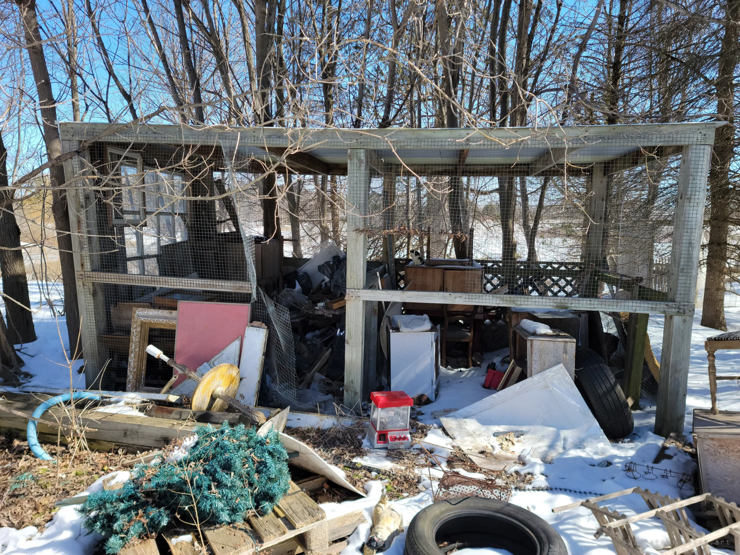 A screened open-sided shed crammed with furniture, frames, tires and a toy popcorn cart, with a cat perched on a cabinet inside. Everything that once filled the house seems to have spilled out here.