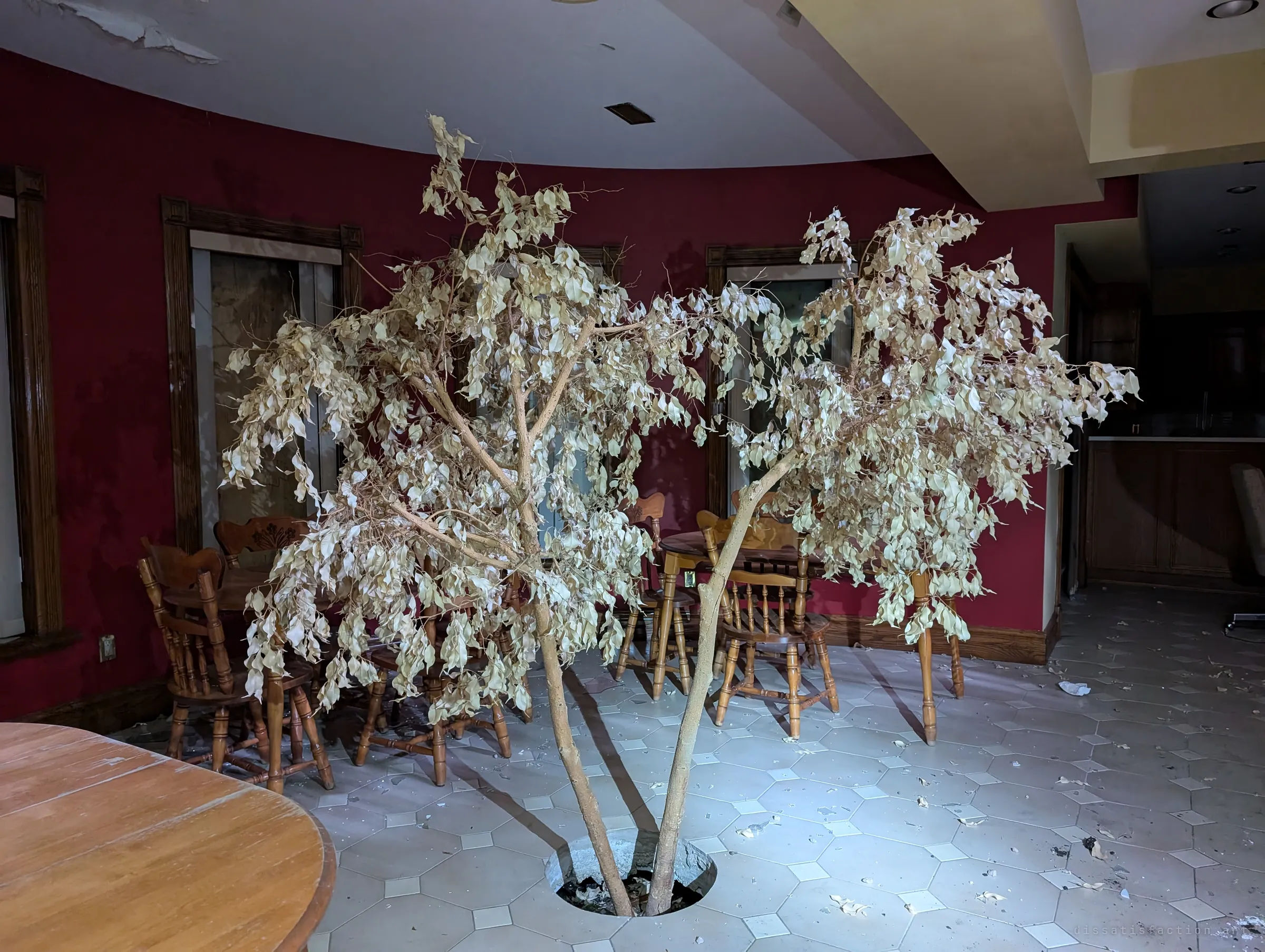 A dead indoor tree, its leaves bleached pale, still rises from a round planter cut into the tiled floor of a red-walled breakfast room. Wooden chairs and tables sit around it, lit by a flashlight.