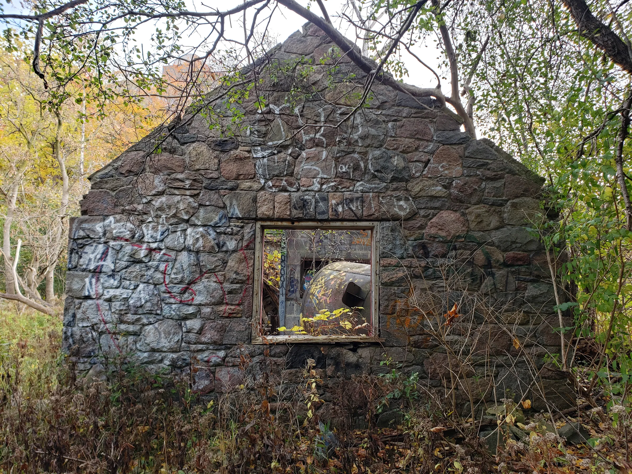 The graffiti-covered fieldstone gable of a roofless pumphouse, half swallowed by autumn brush, with a rusted tank visible through its empty window. The overgrowth shows how long the building has been left to the ravine.