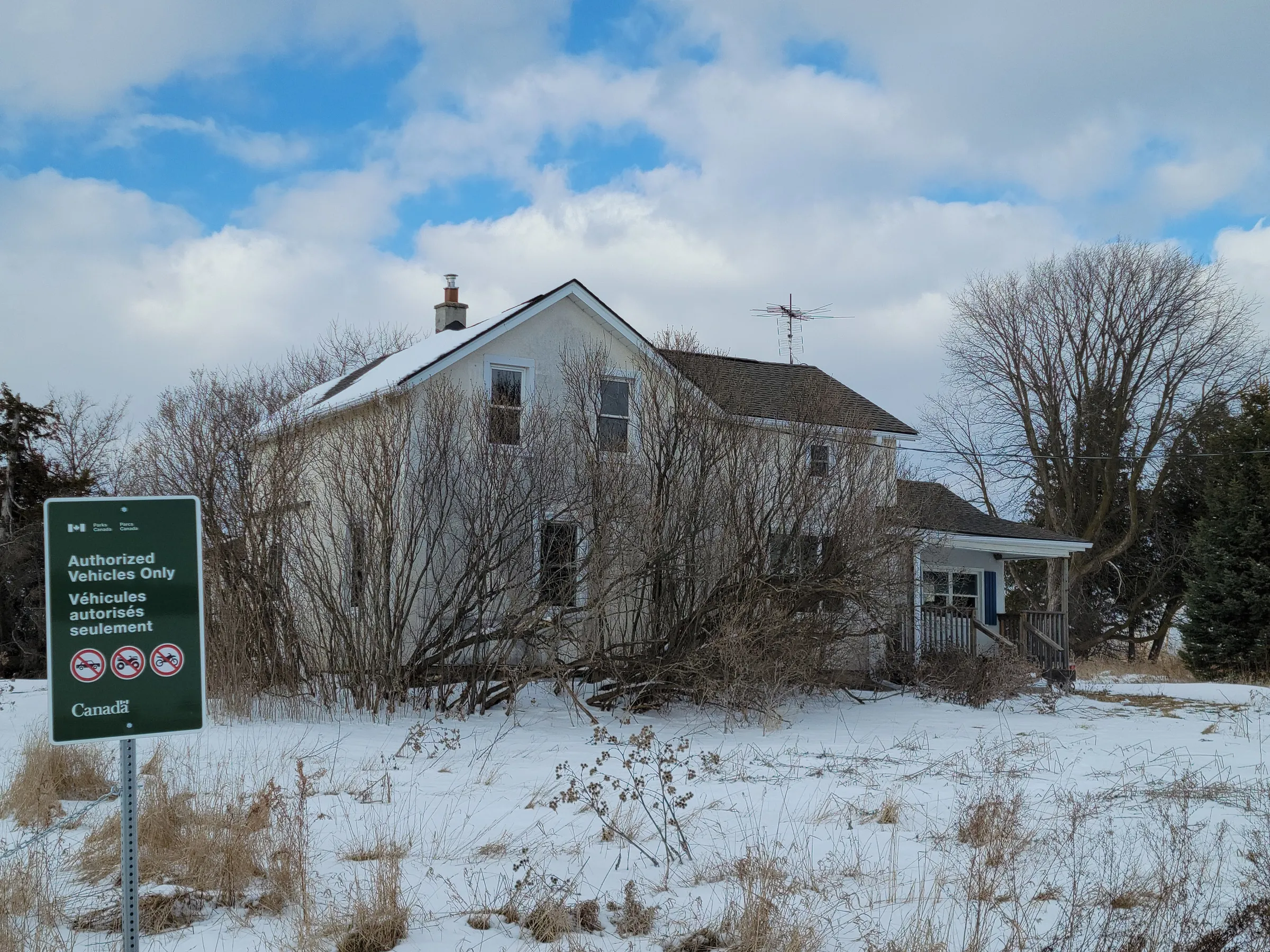 A two-storey stucco farmhouse half swallowed by bare shrubs, standing in a snowy field under a broken winter sky. The first look at the empty homestead from the edge of the property.