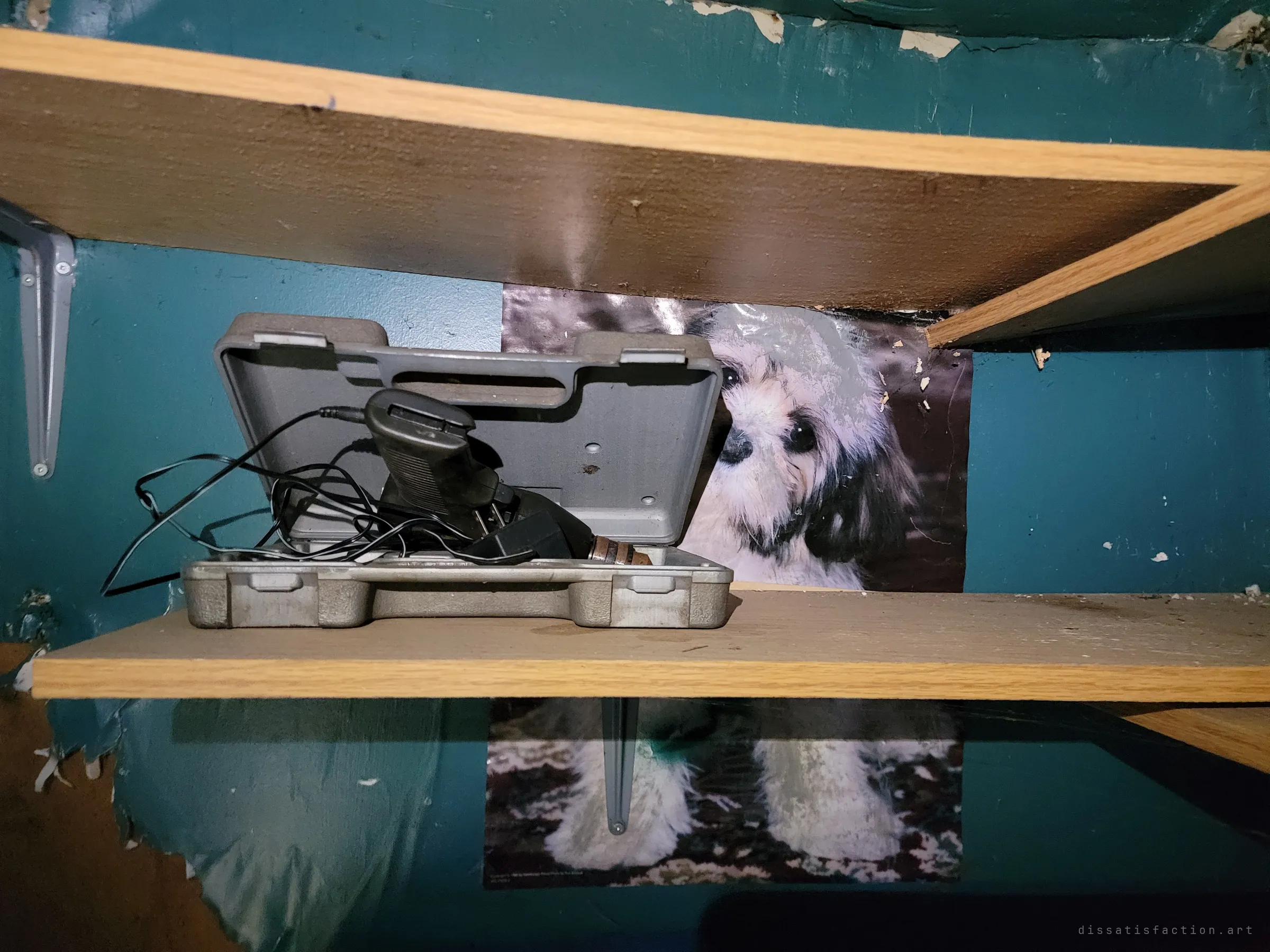 An open grey tool case with a tangle of cords on a wooden shelf, in front of a faded poster of a fluffy little dog split by the shelves. A small, oddly tender corner of the closet.