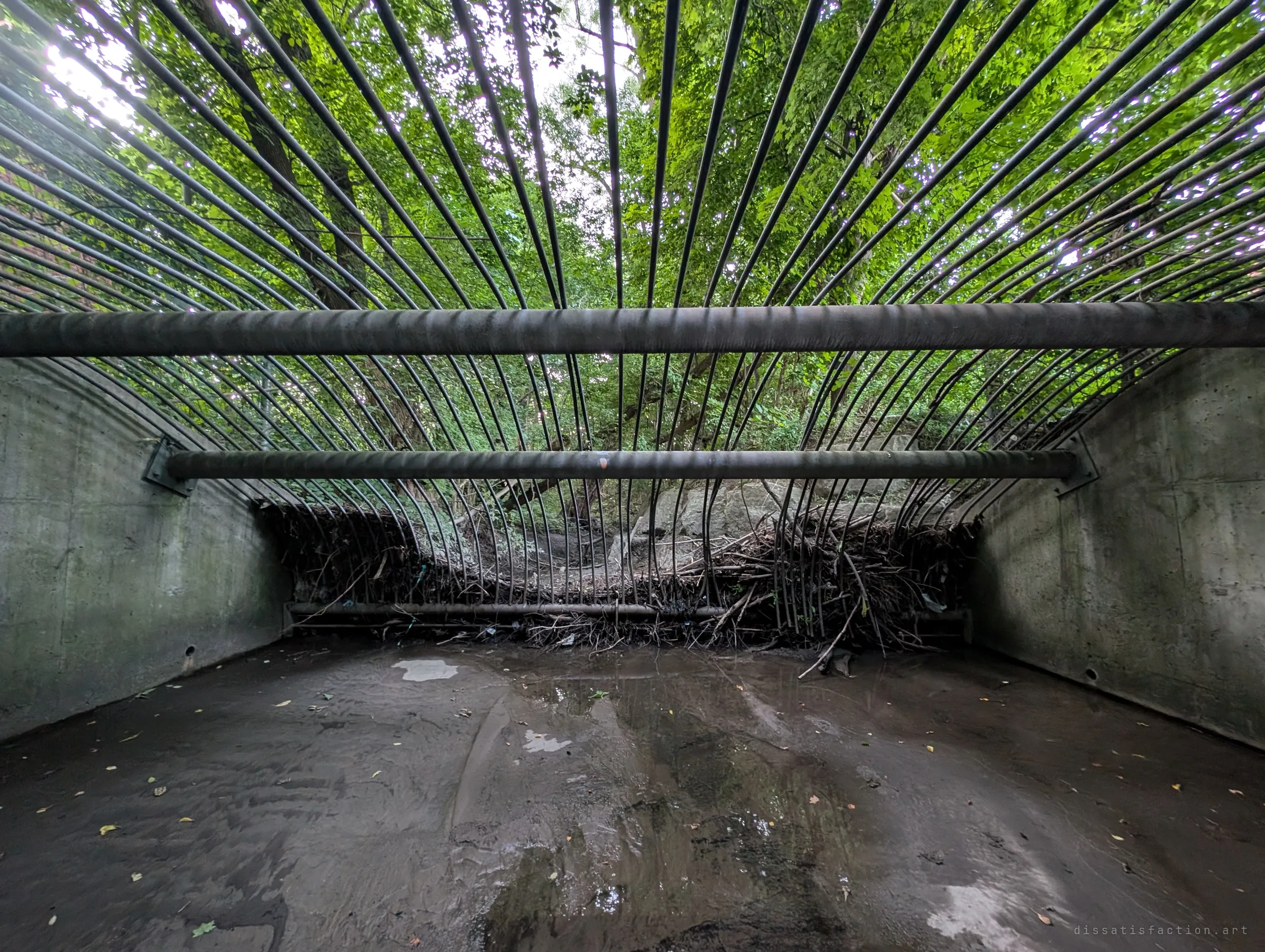 Looking back out from inside the inlet chamber: dozens of curved steel bars fan overhead against green leaves, with a wall of trapped branches along the bottom of the rack.
