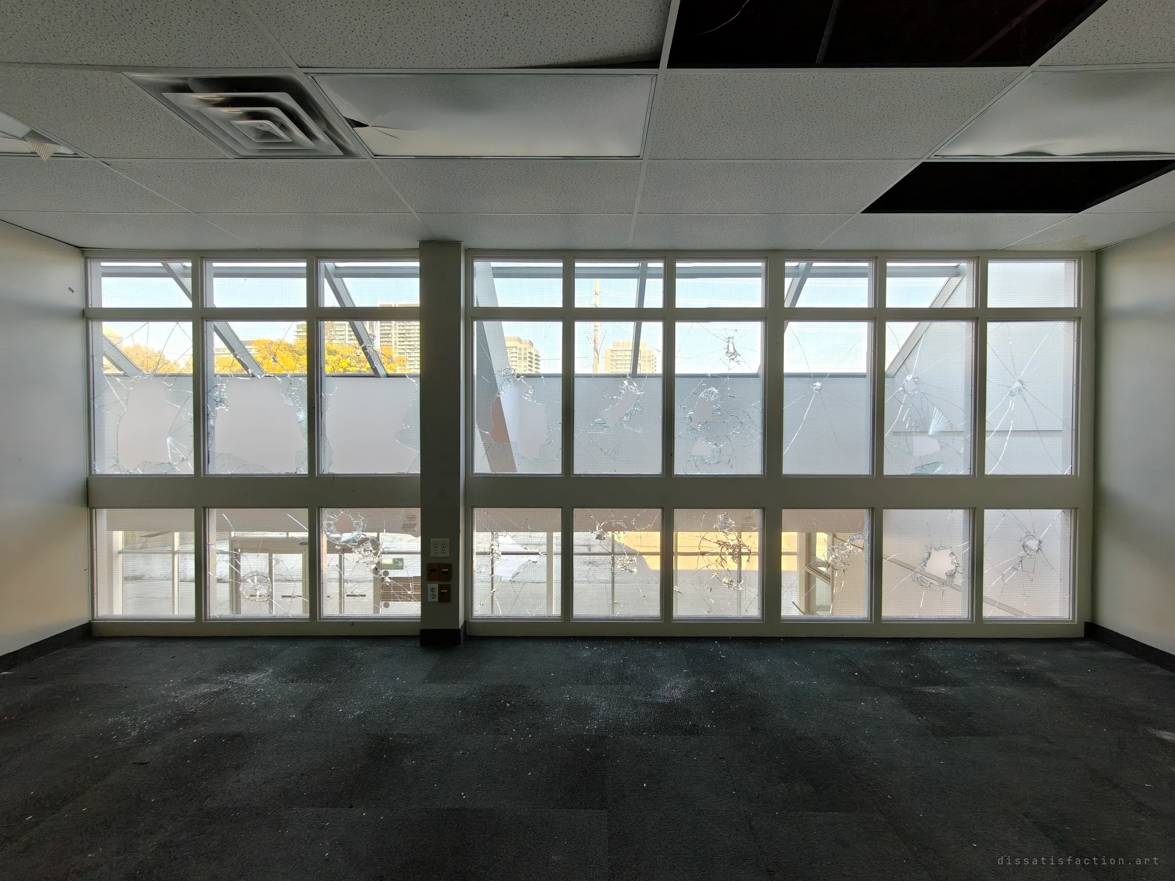 An empty upstairs office with a full wall of window panes, most smashed and frosted by cracks, over dark stained carpet and a ceiling with missing tiles.
