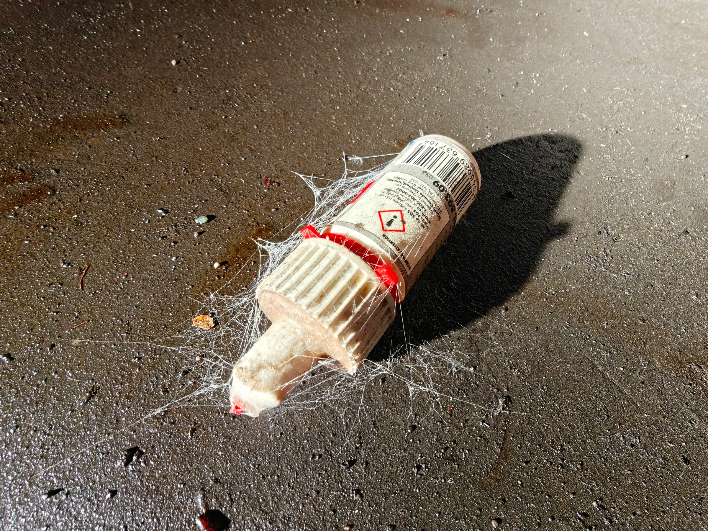 A small chemical dropper bottle lying on dark, wet concrete, wrapped in cobwebs, with its hazard label and barcode catching the light.