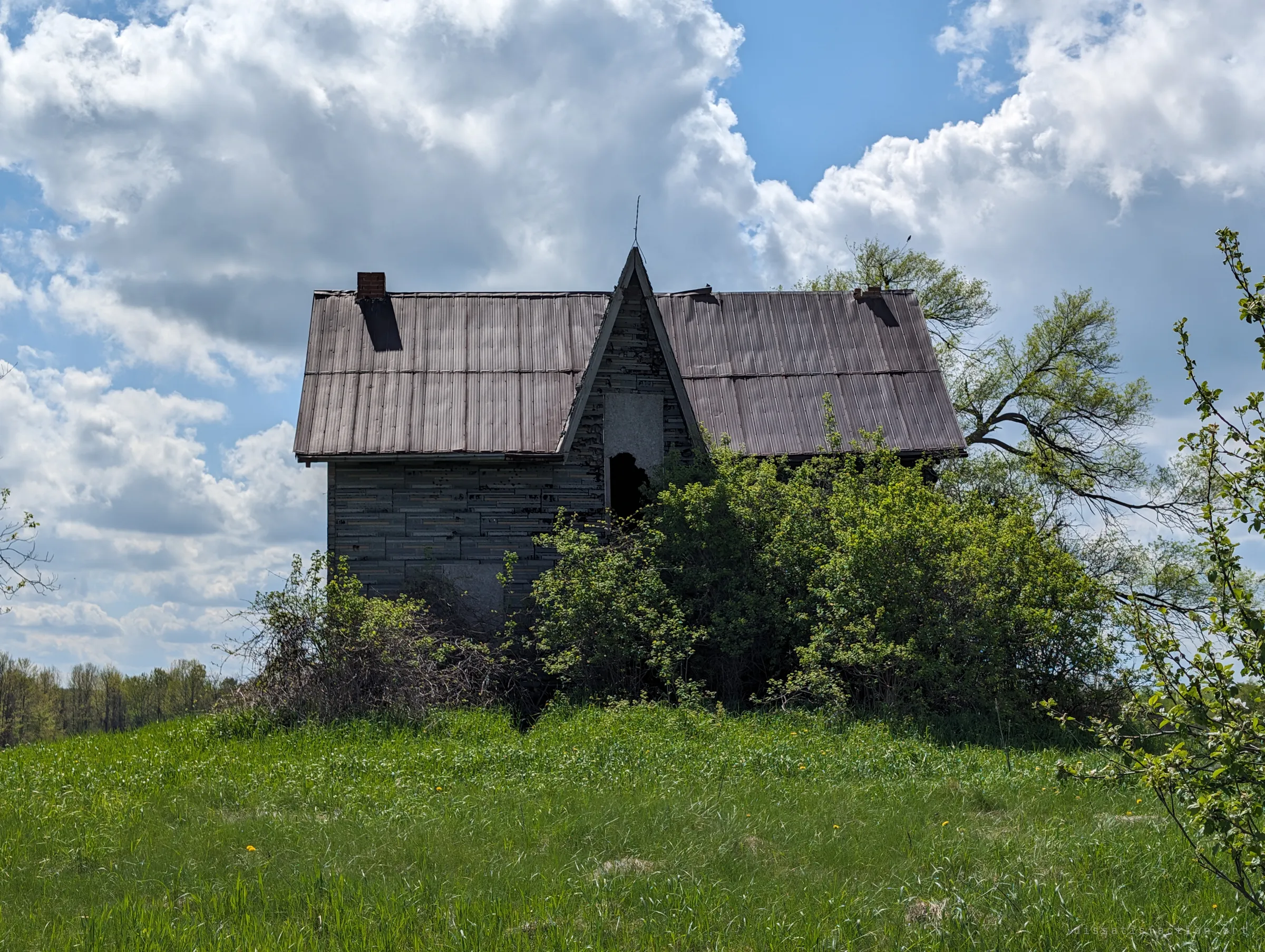 An abandoned farmhouse with a steep centre gable and rusted metal roof sits half-swallowed by shrubs on a grassy rise under a bright cumulus sky. The opening shot sets the scale of the place: one lonely house in open country.