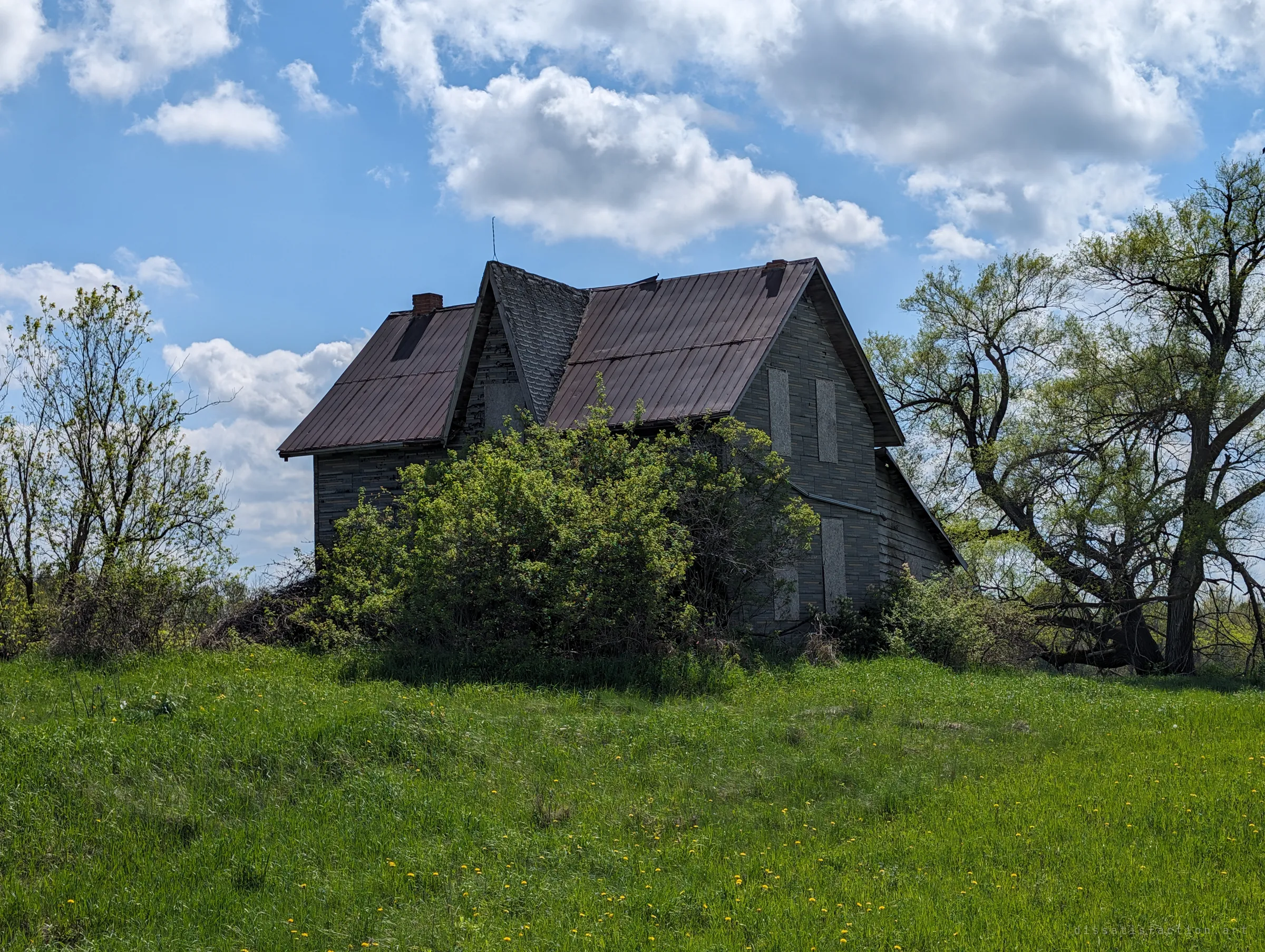 The farmhouse from a corner angle, its boarded windows and patched siding showing behind overgrown bushes and old willows. It shows how completely the land is taking the house back.