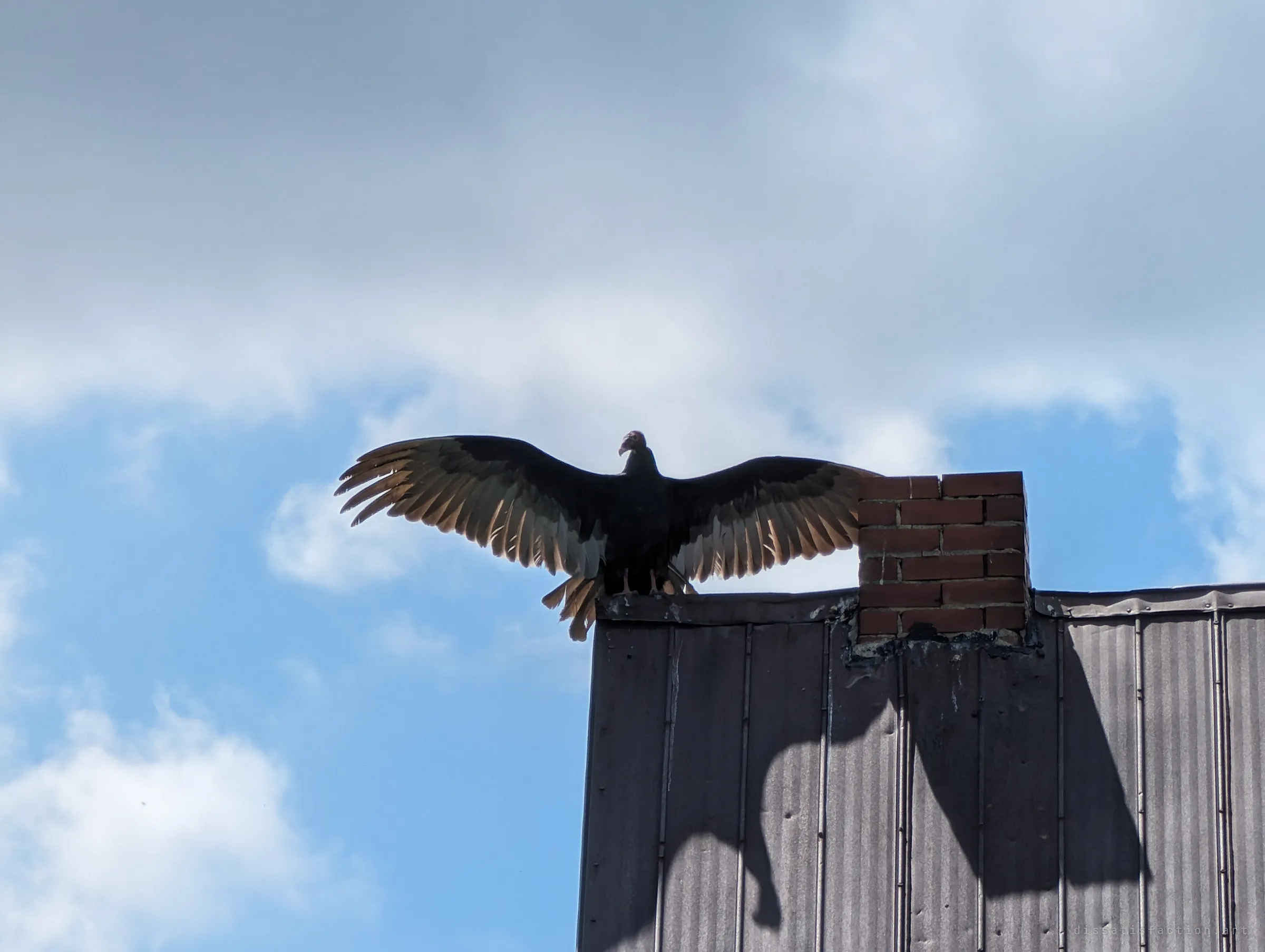 A turkey vulture spreads its wings to sun itself on the peak of a metal-clad roof beside a brick chimney, backlit feathers glowing against a cloudy sky. Its shadow falls across the roof panels.