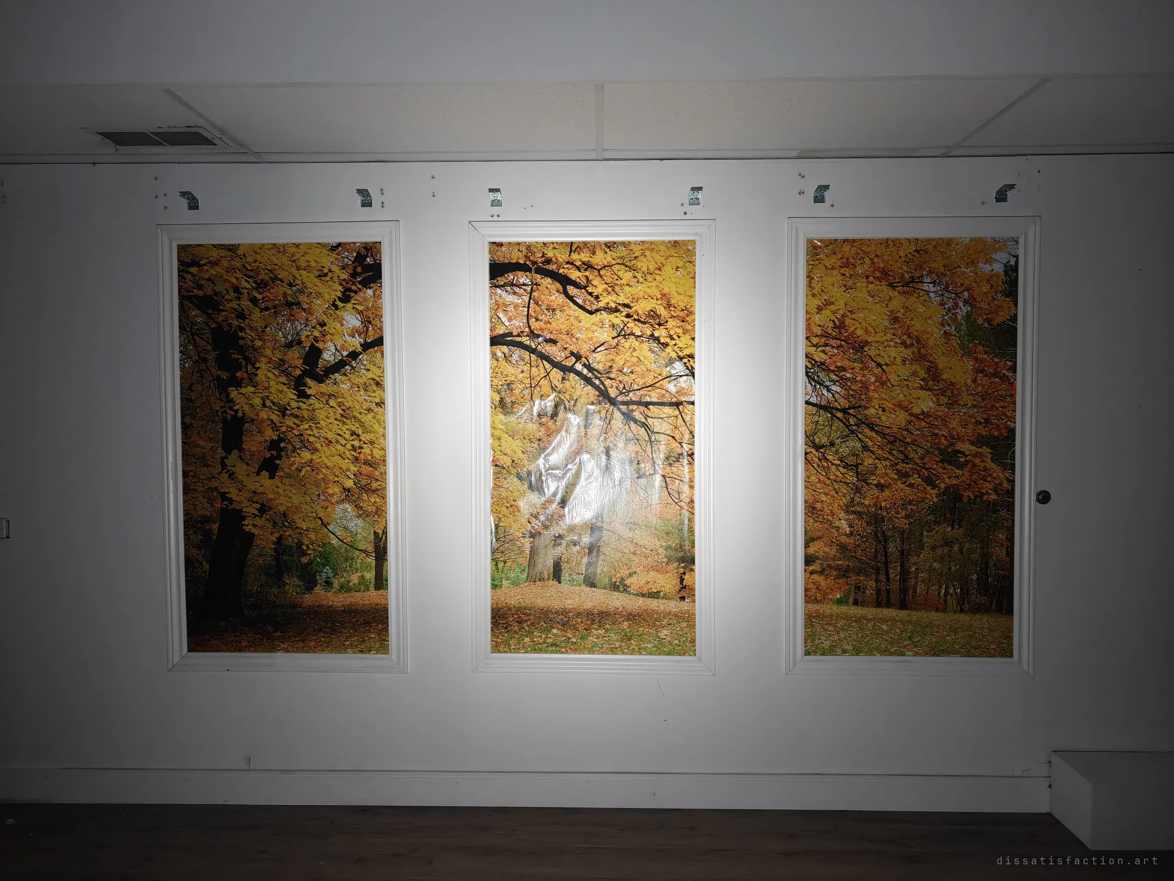 Three fake windows along a white wall show printed autumn forest scenes, with empty blind brackets still screwed above each one. The false views glow under the flashlight in an otherwise dark room.