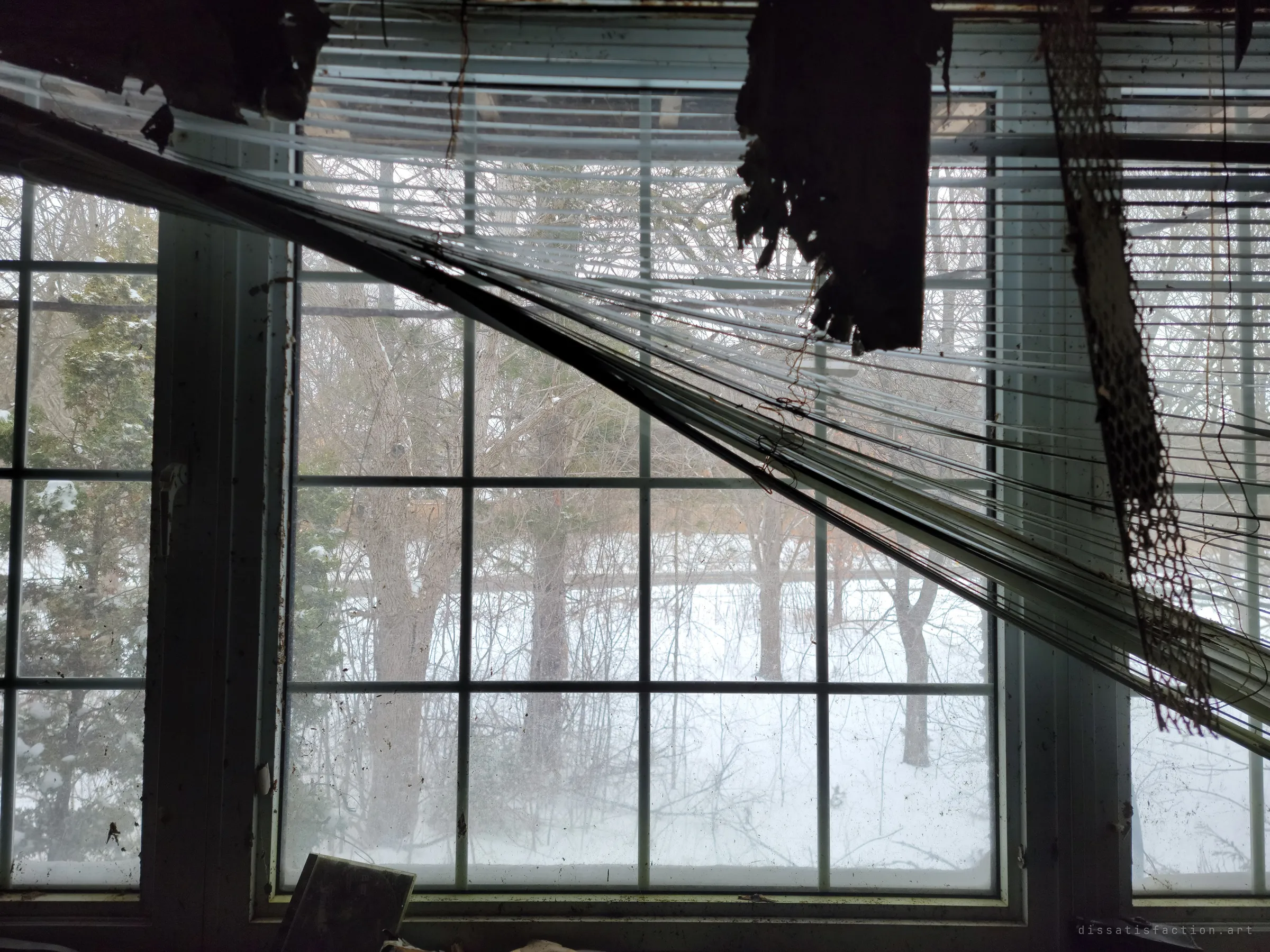 Torn blinds hang diagonally across a gridded window, framing a snowy wooded yard outside. The contrast between the dark wrecked interior and the pale winter light.