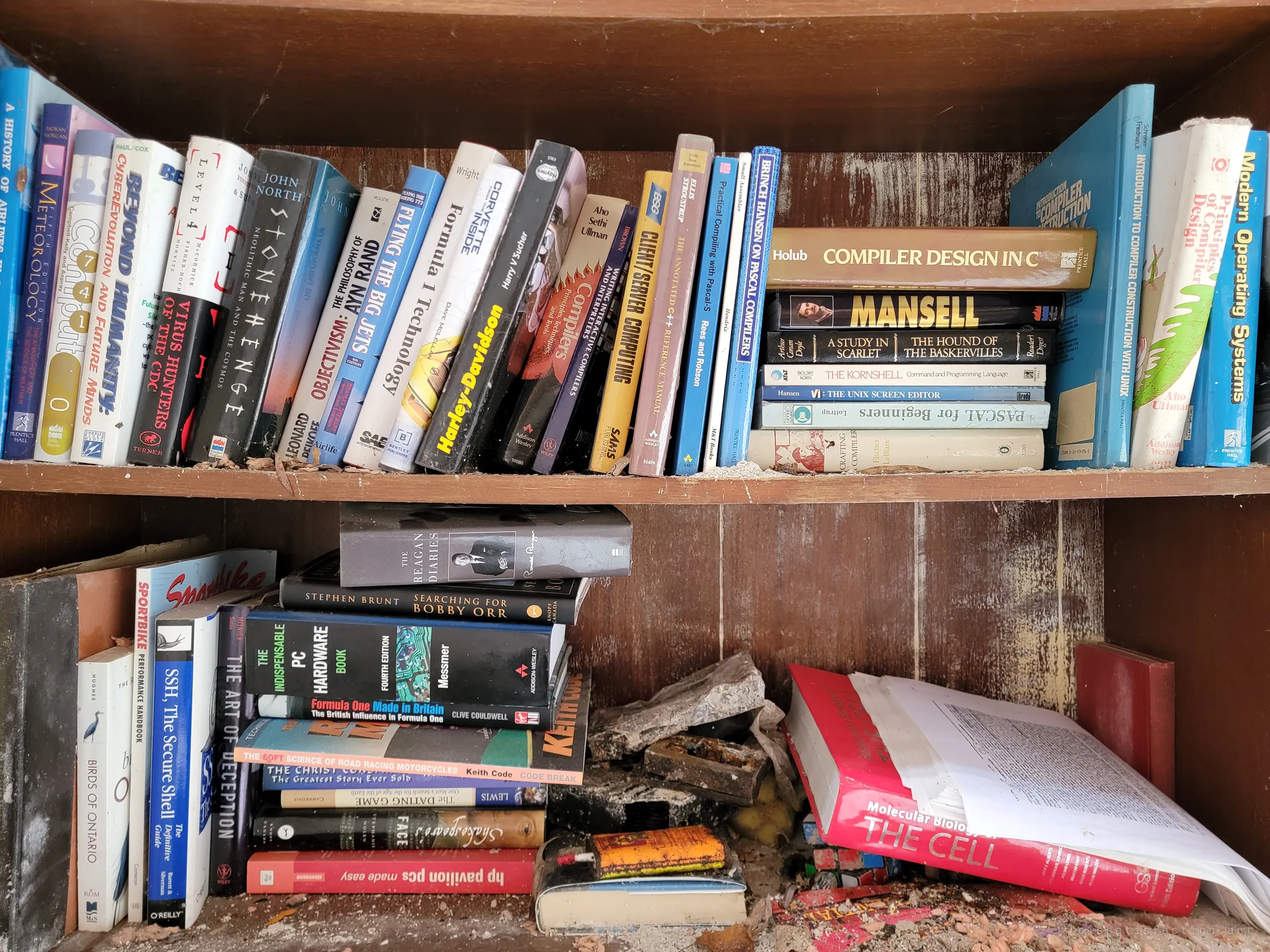 Rows of compiler textbooks, aviation and racing books line the shelves, a biology textbook slumped open under debris below. A small snapshot of a hobbyist's library left to the weather.
