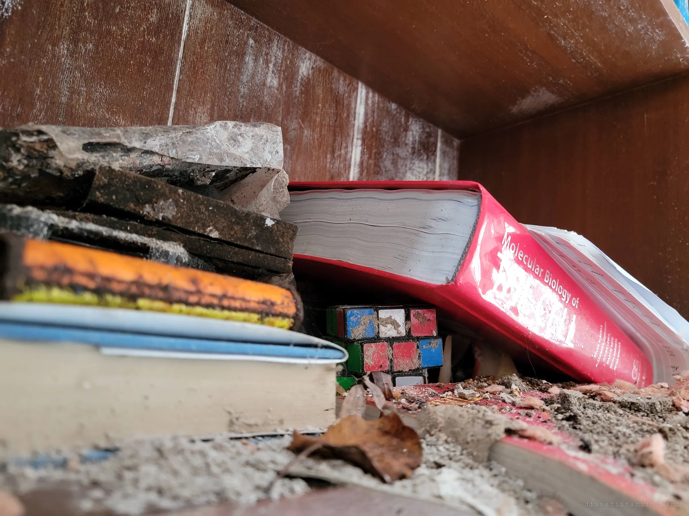 A dusty shelf where a warped red biology textbook slumps over a grimy puzzle cube and a stack of crumbling books. Small leftovers of someone's life, half buried in plaster dust and dead leaves.