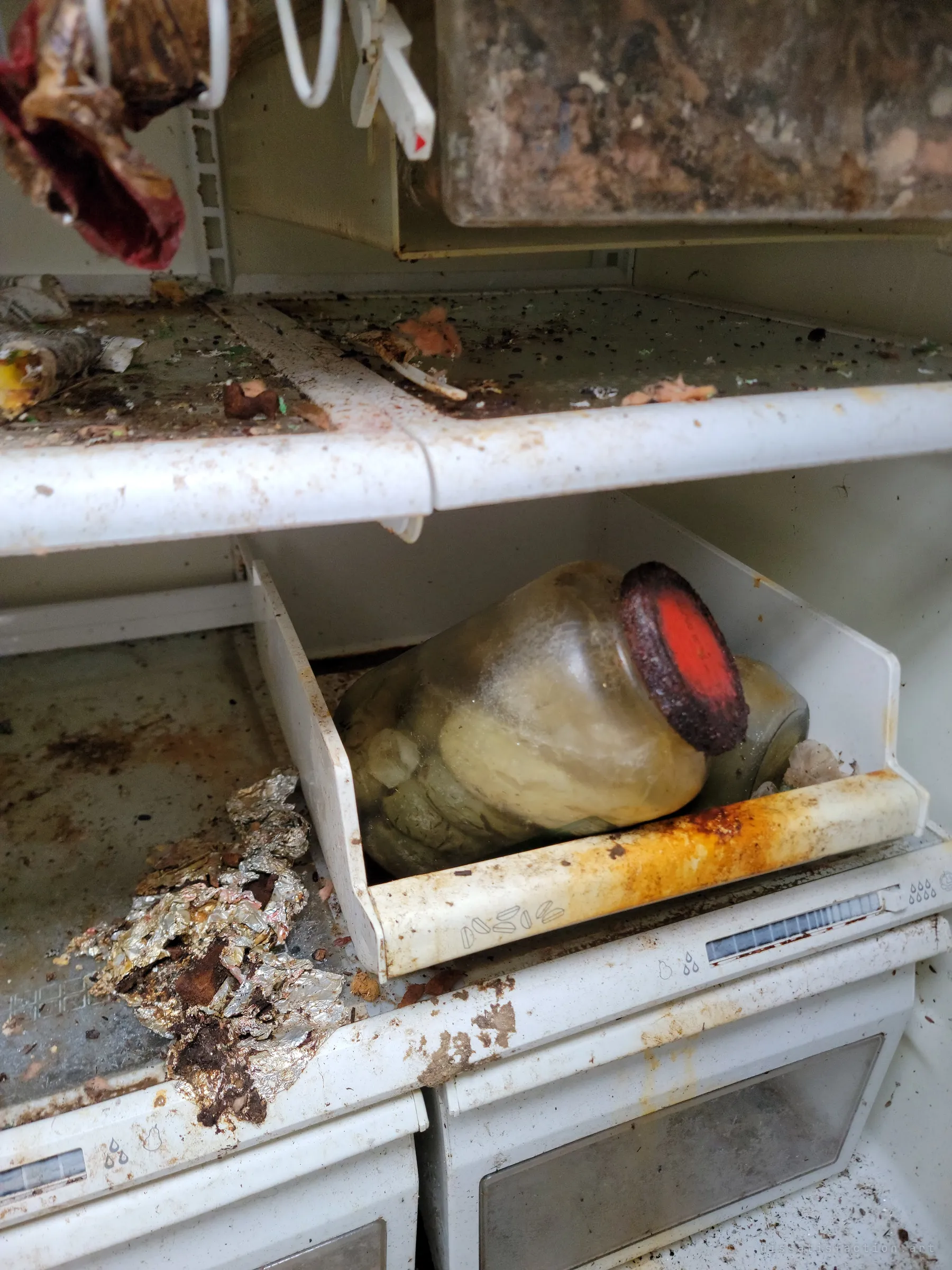 The inside of a dead refrigerator: a sealed jar of something pale floats in a crisper drawer among foil scraps and rot, a grim look at food that never got eaten.