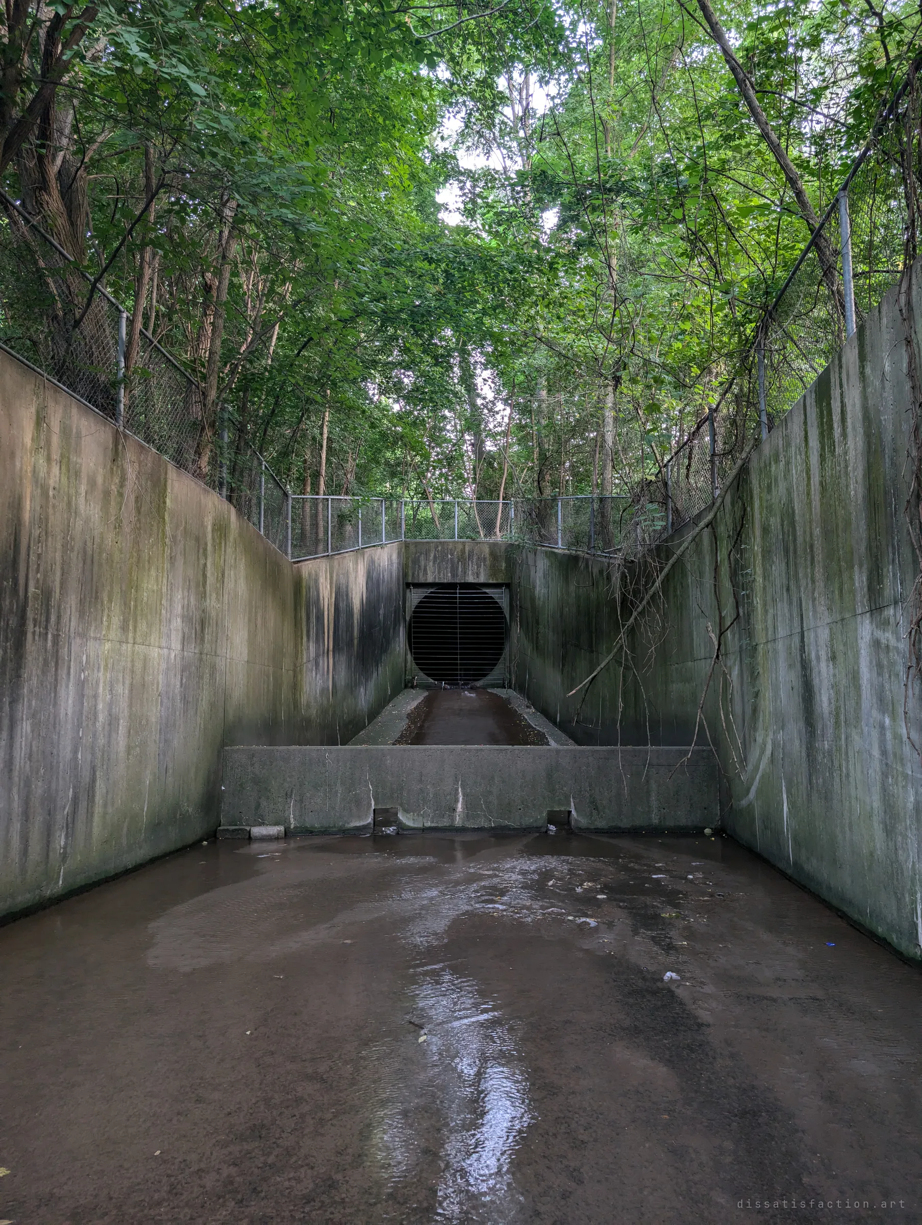 A grated circular outfall at the end of a mossy, fence-topped concrete channel, swallowed by summer woods. The way in, and the first sign of how big the system is.