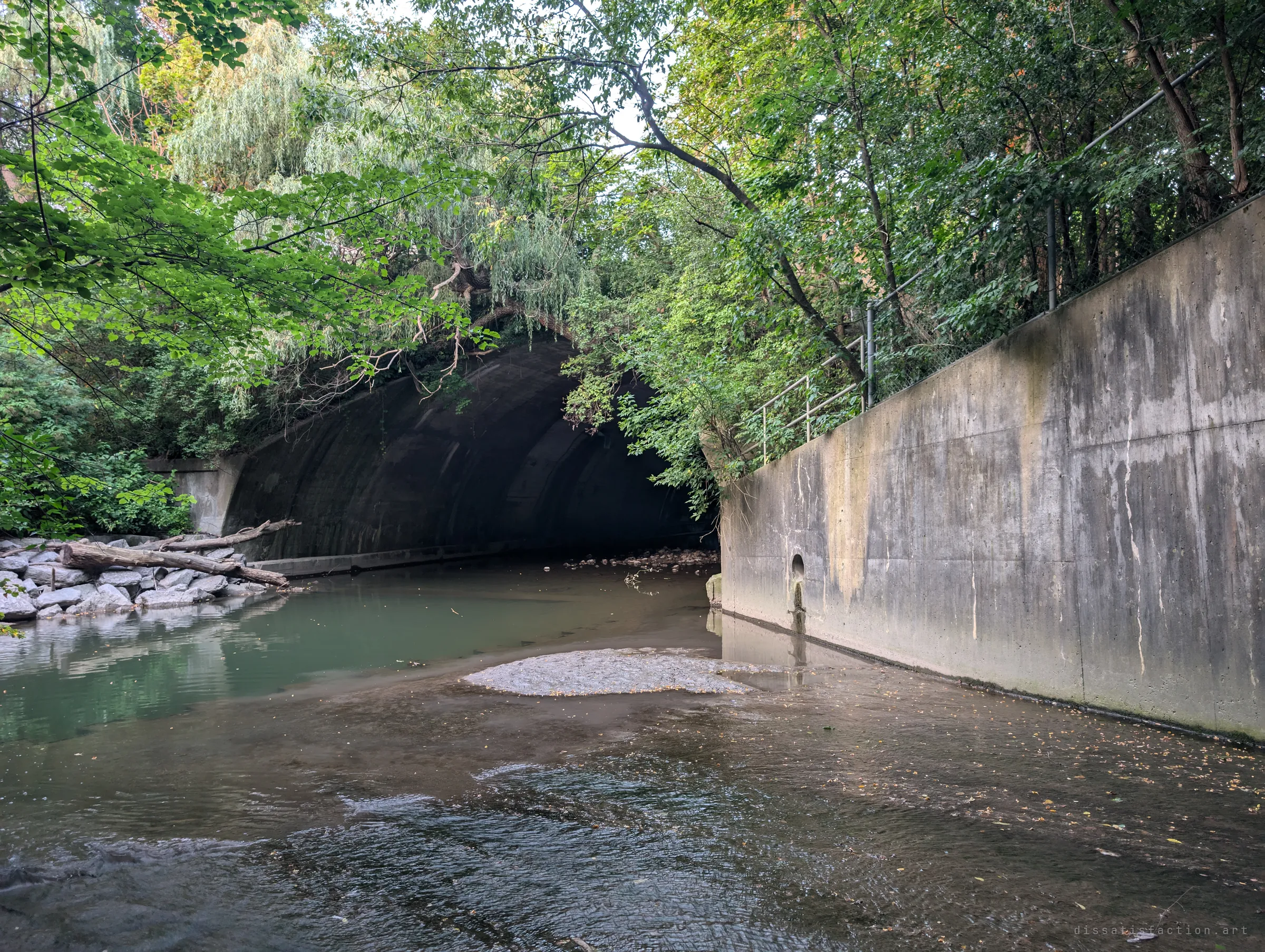 A wide arched culvert opens under overhanging willows where a shallow creek runs past a stained concrete wall and a small outlet pipe. Green light on the water before the dark.