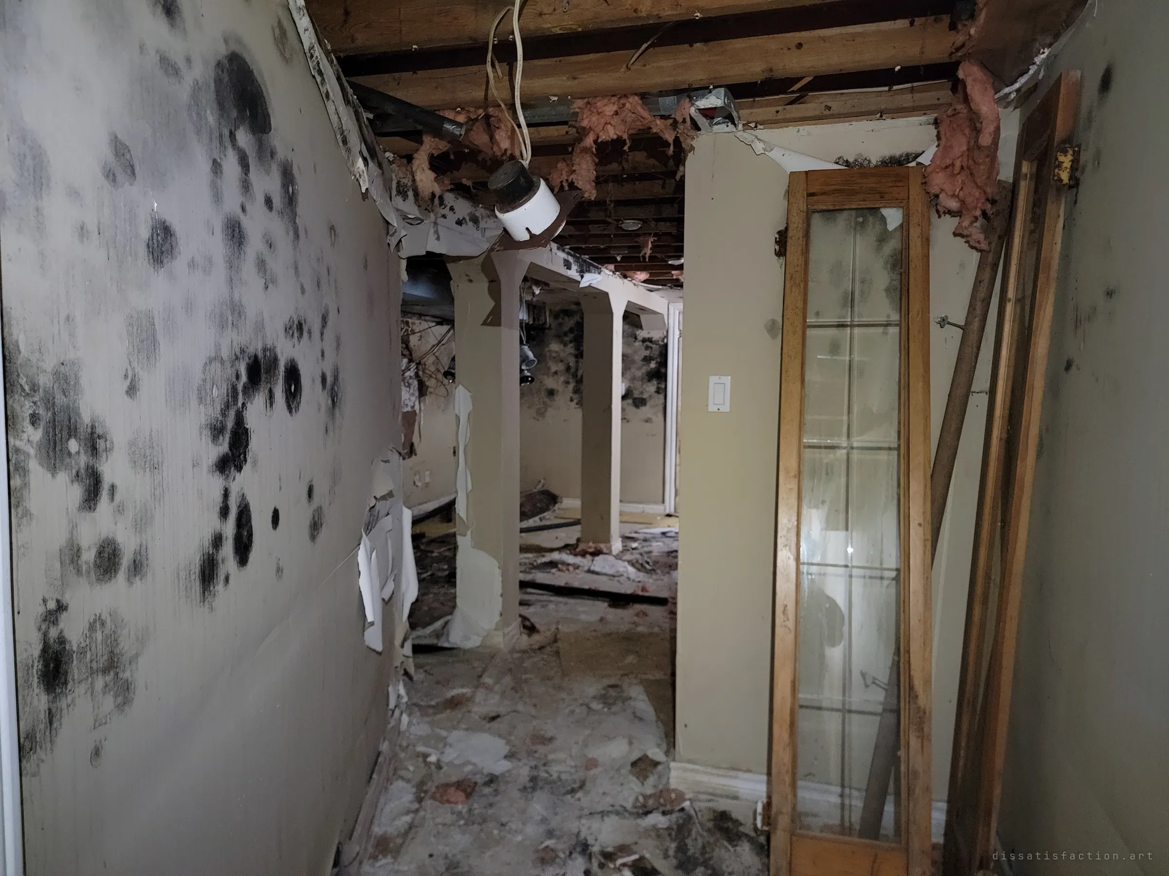 A basement hallway with walls covered in dark mould spots, torn-open ceiling and pink insulation hanging down, and a glass-panel door leaning against the wall. The rot has taken over the lower floor.