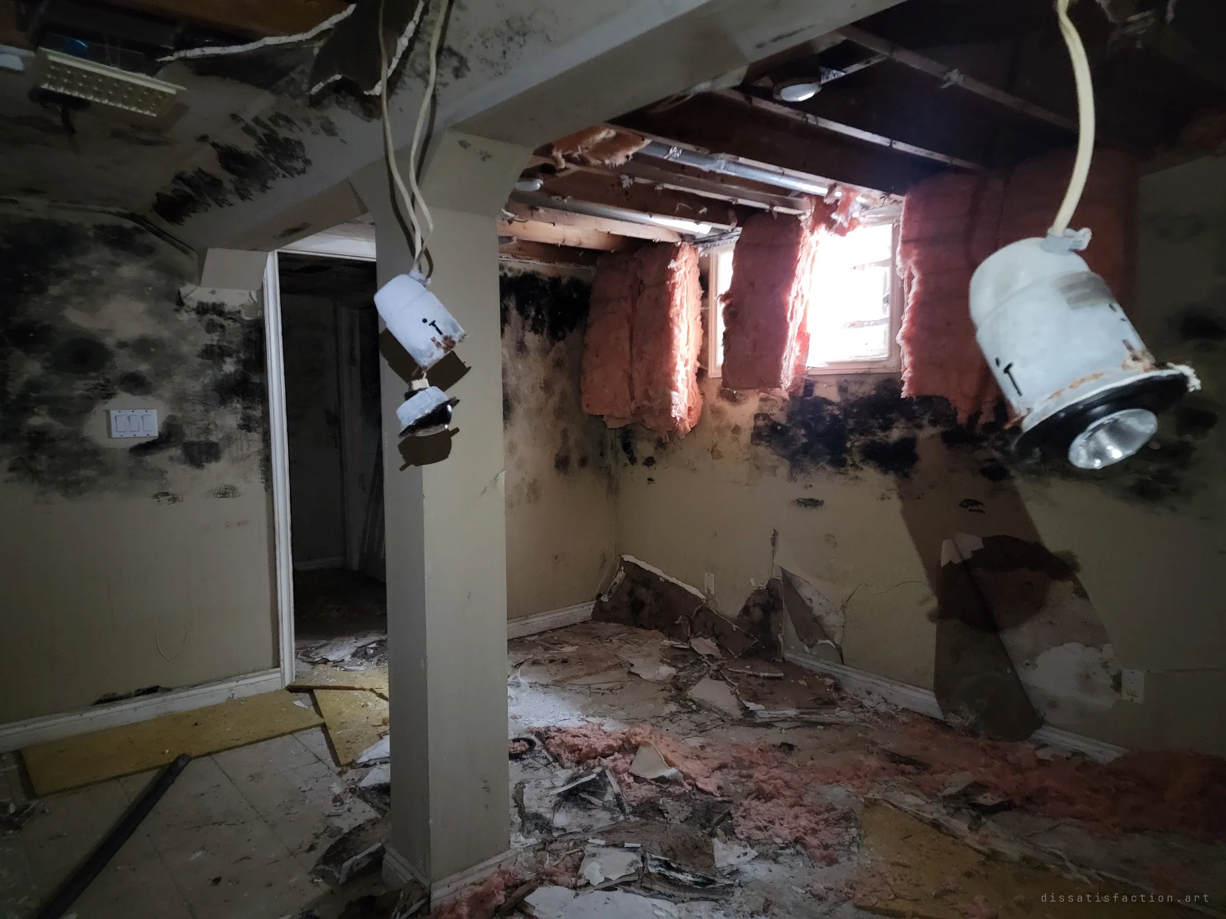 A gutted basement room where mould blooms across the walls, insulation spills from the ceiling and pot lights dangle on their wires in the light from a small window. Debris and fallen drywall cover the floor.