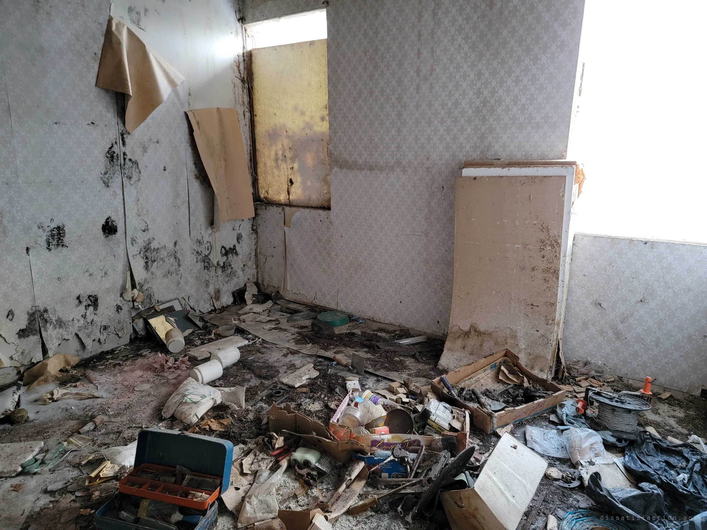 A mould-streaked room with patterned wallpaper peeling off, a boarded window and a floor buried in toolboxes, cartons and junk. Someone's stored belongings left to rot.