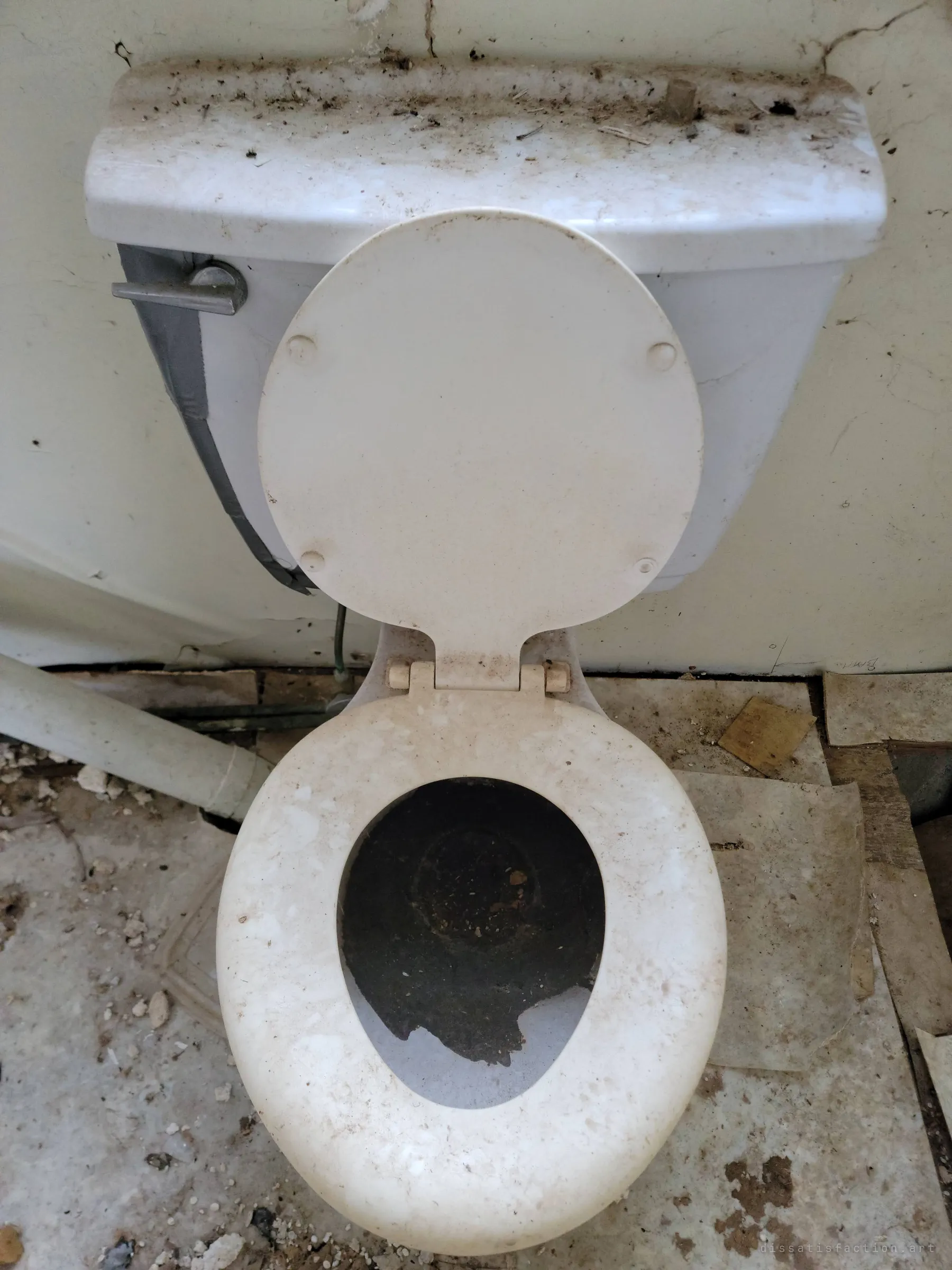 Looking straight down into a dry white toilet with its lid raised, the tank lid thick with dust and debris against a cracked wall. The bowl has long since stopped holding water.