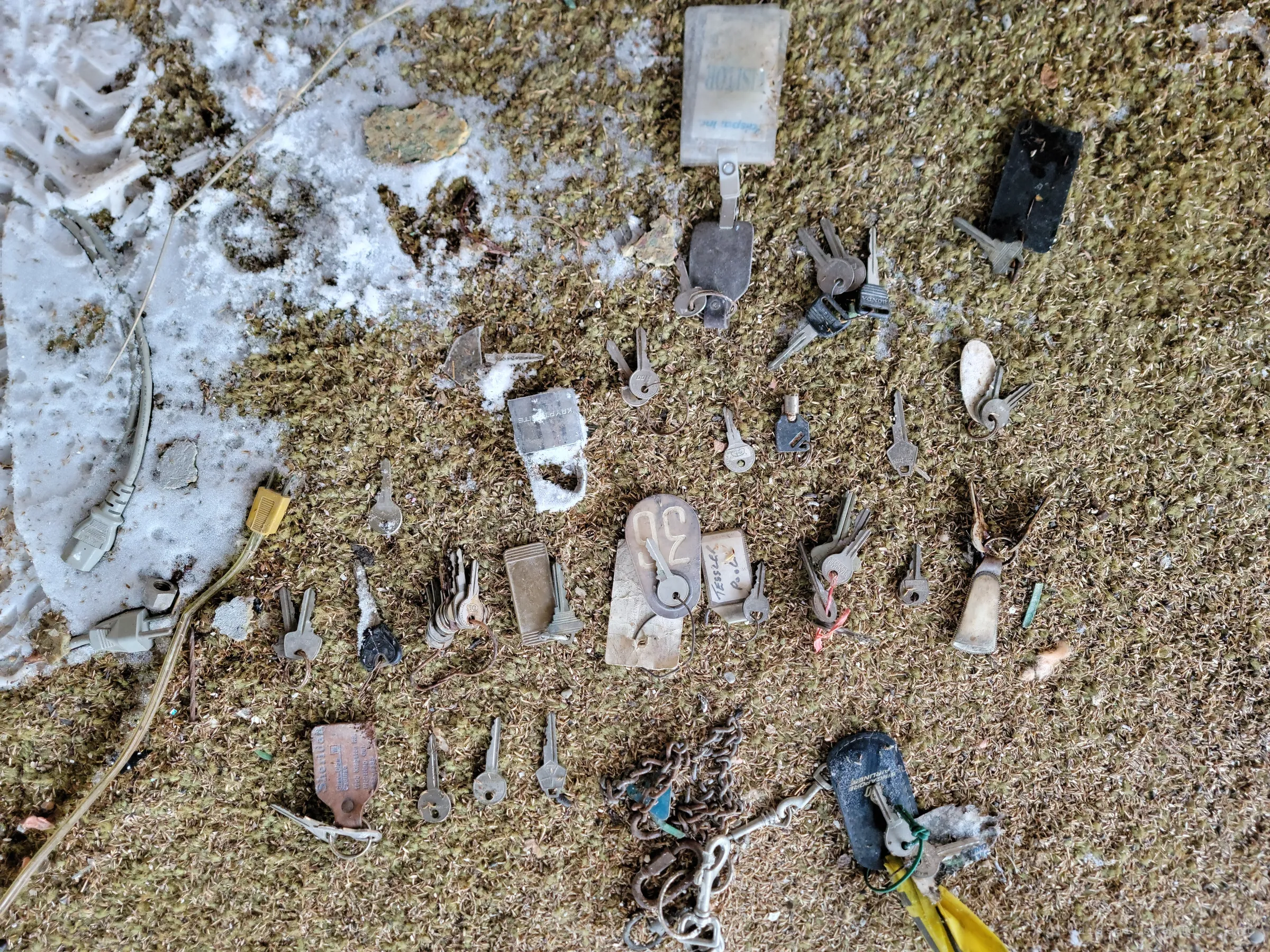 Dozens of old keys, fobs and tags laid out on mossy, snow-flecked carpet, including a numbered brass tag, a visitor pass and a rusted chain. Each one once opened a door somewhere in or around the house.