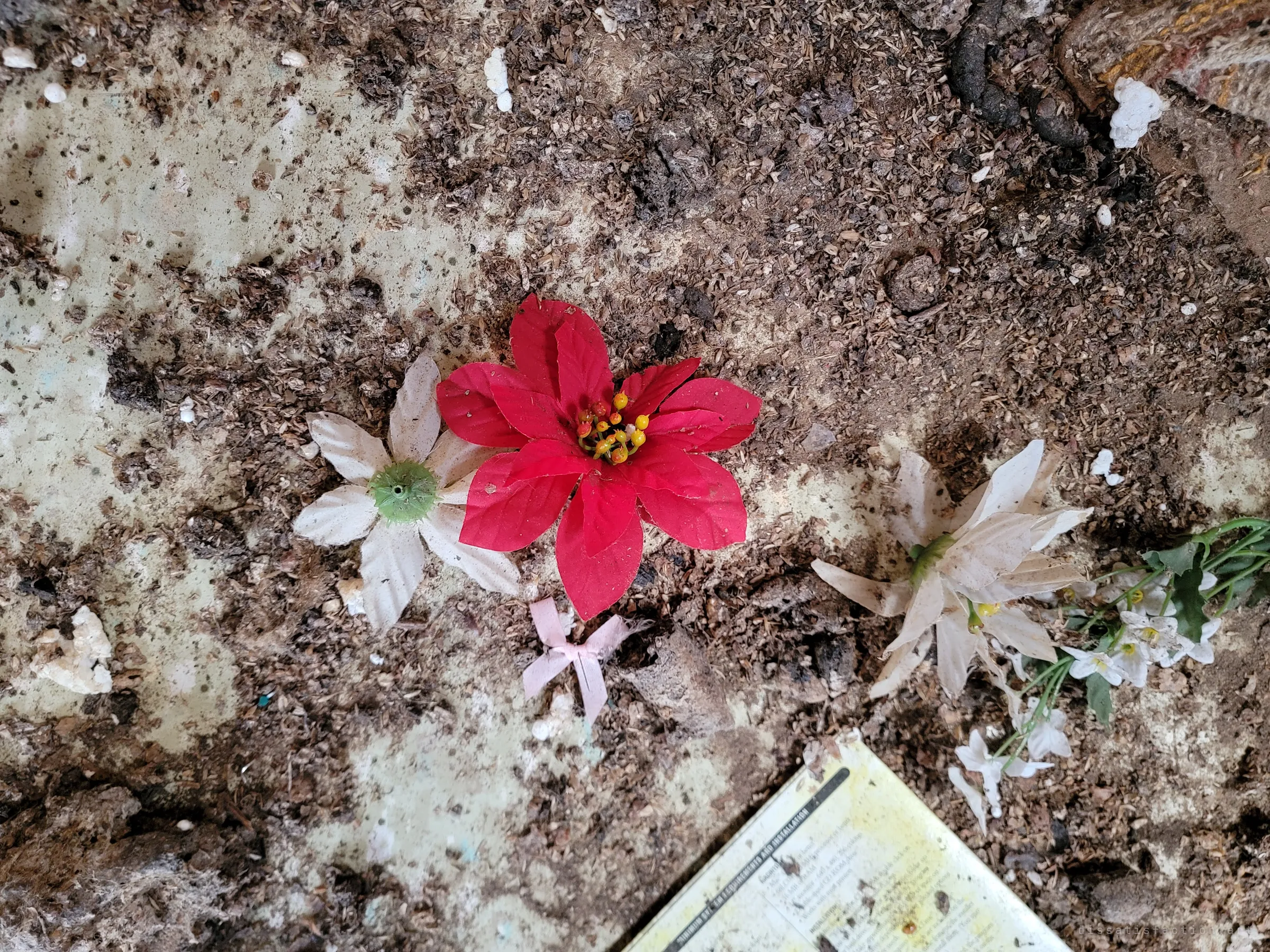 Faded artificial flowers, a red poinsettia, white blossoms and a small pink bow, lie in the grime on the floor beside the corner of an old software manual. A small bit of colour left in the decay.