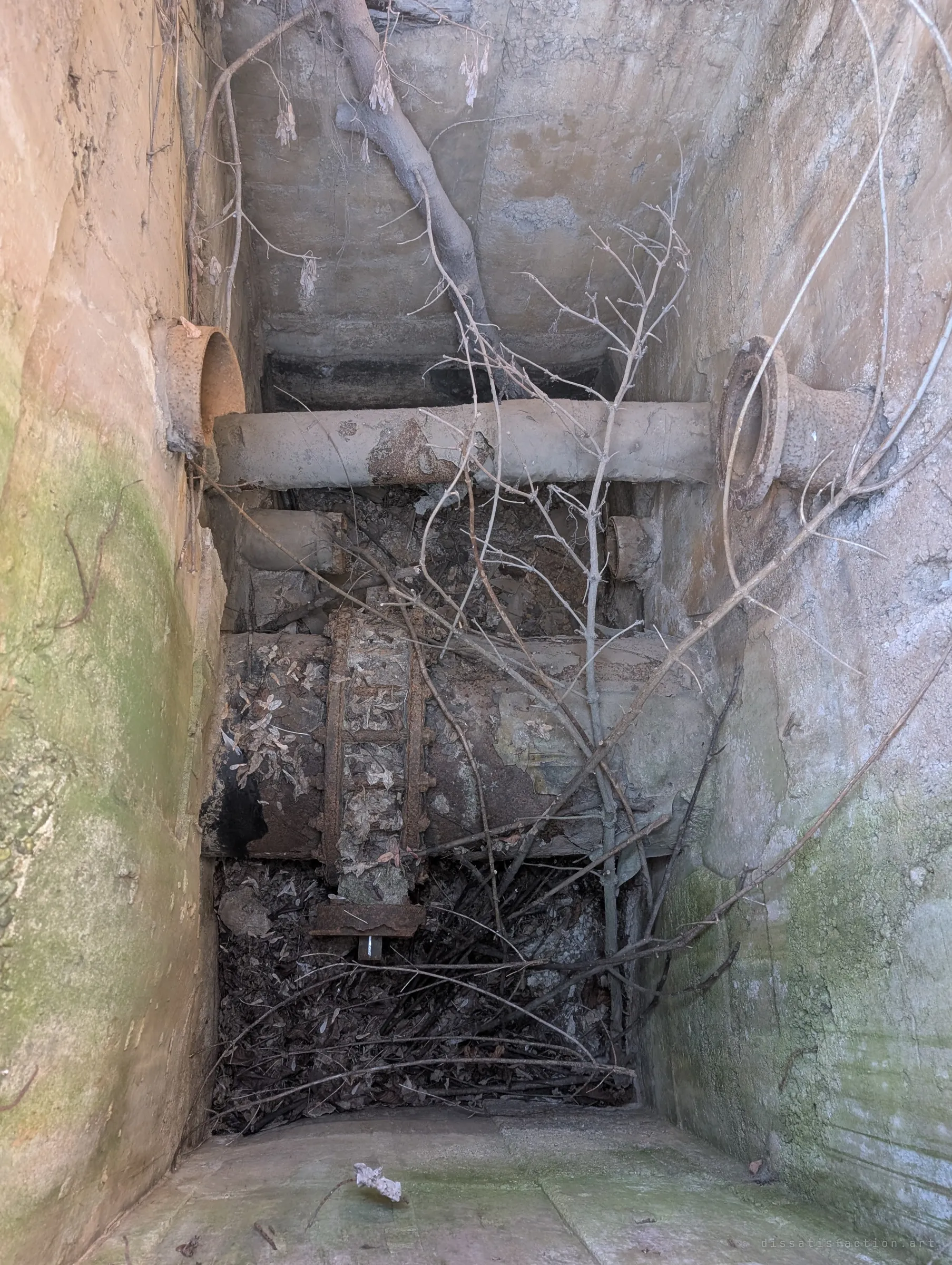 Looking down a narrow concrete pit crossed by rusted pipes and a large valve, choked with branches and leaf litter, walls stained green with damp.