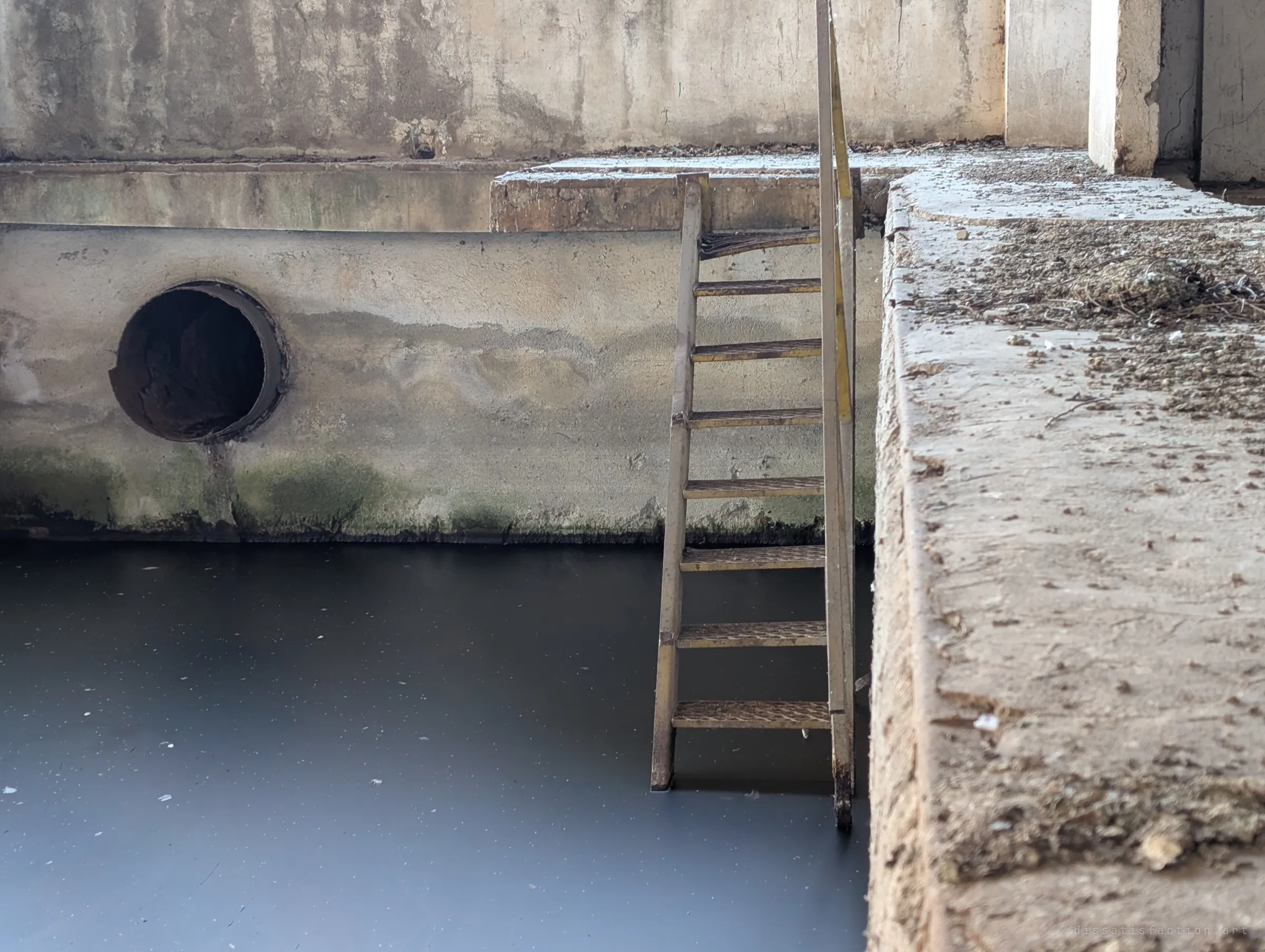 A yellow steel ladder drops from a dusty concrete ledge straight into the dark water beside a round outlet pipe. It shows how the flooded floor is reached from the dry walkway above.