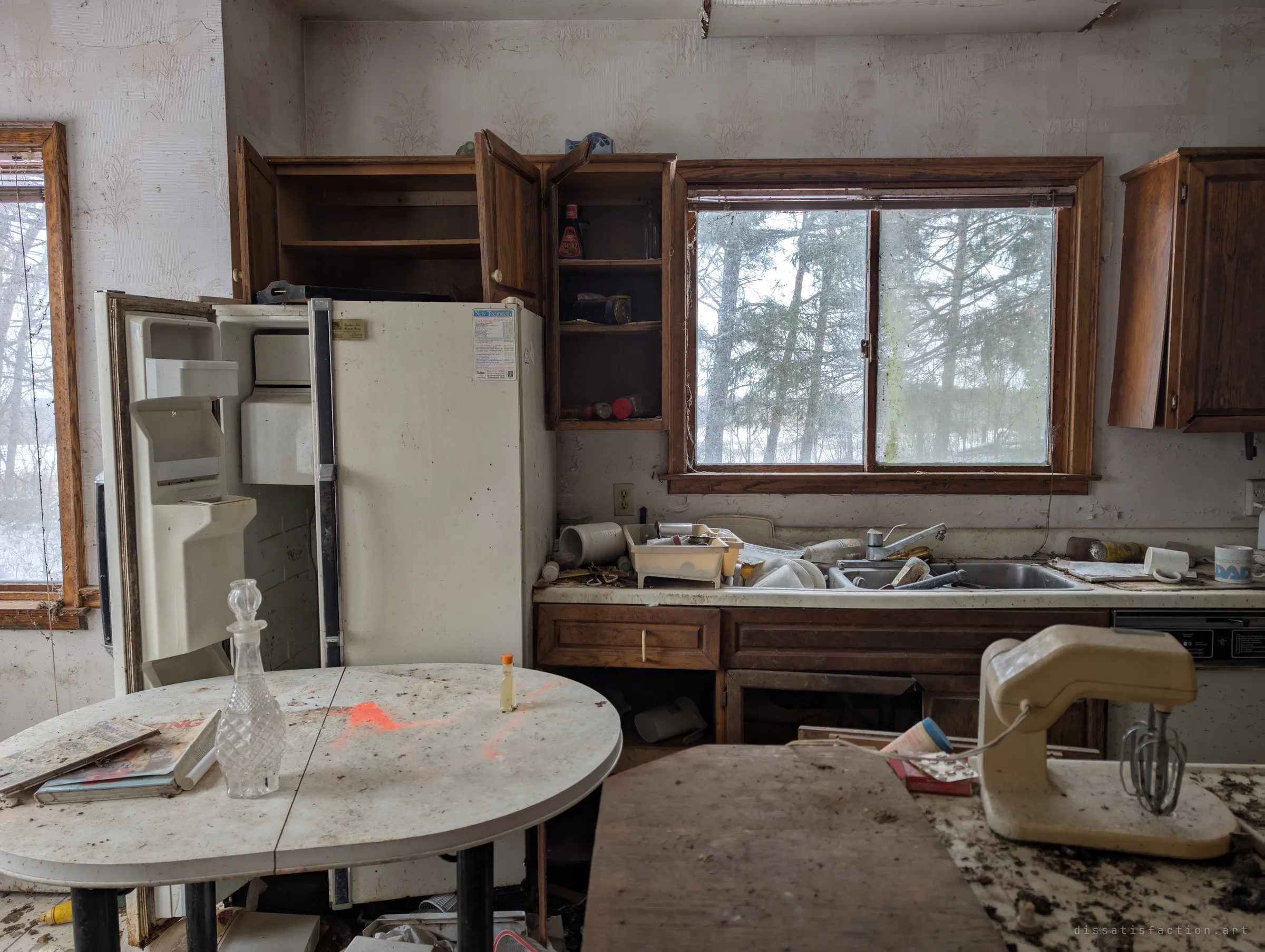 A kitchen left mid-life: the fridge door hangs open, the cupboards are half emptied, and dishes pile up in the sink under a window full of pines. A crystal decanter and a stand mixer sit in the dust.
