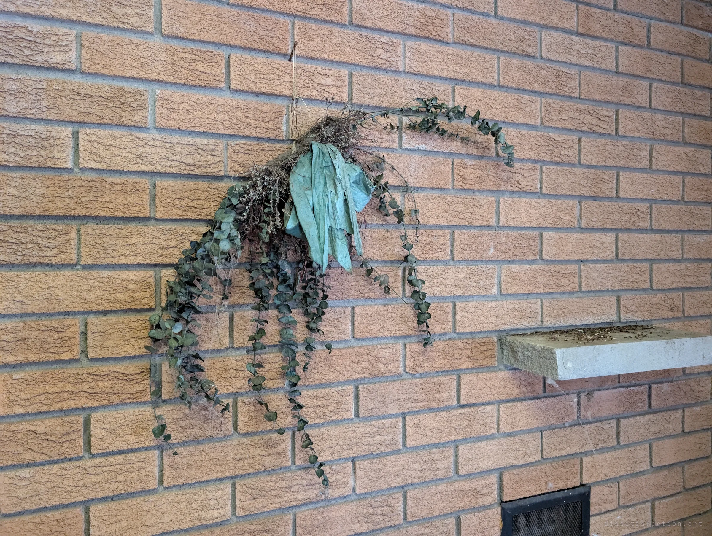A bundle of dried eucalyptus and a faded ribbon hanging on a textured brick wall beside a stone ledge. A quiet decorative touch that outlasted the household.