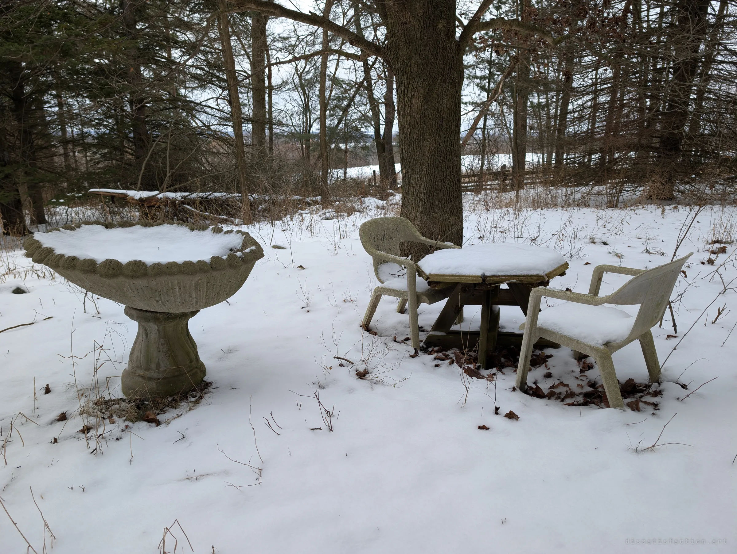 A snow-covered birdbath and a small table with two plastic chairs sit under a big tree at the edge of the woods. The patio set is still arranged as if someone might come back out to sit.