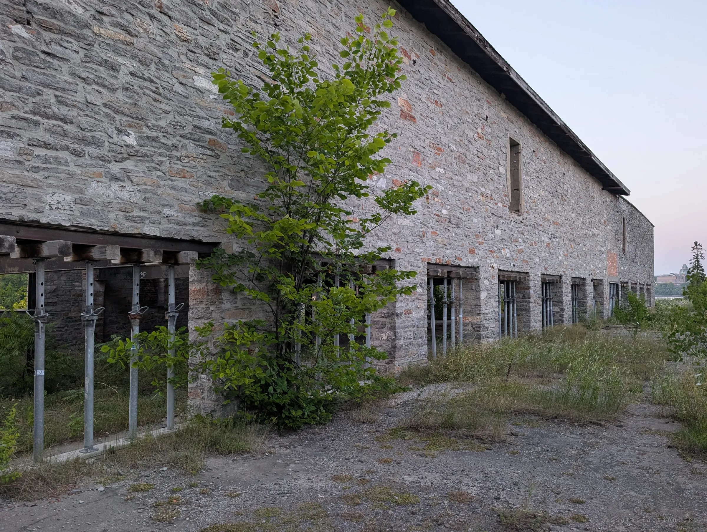 The long stone flank of the mill runs into the dusk, its ground-floor openings propped with rows of steel shores while a young tree grows against the wall. Weeds reclaim the gravel yard in front.