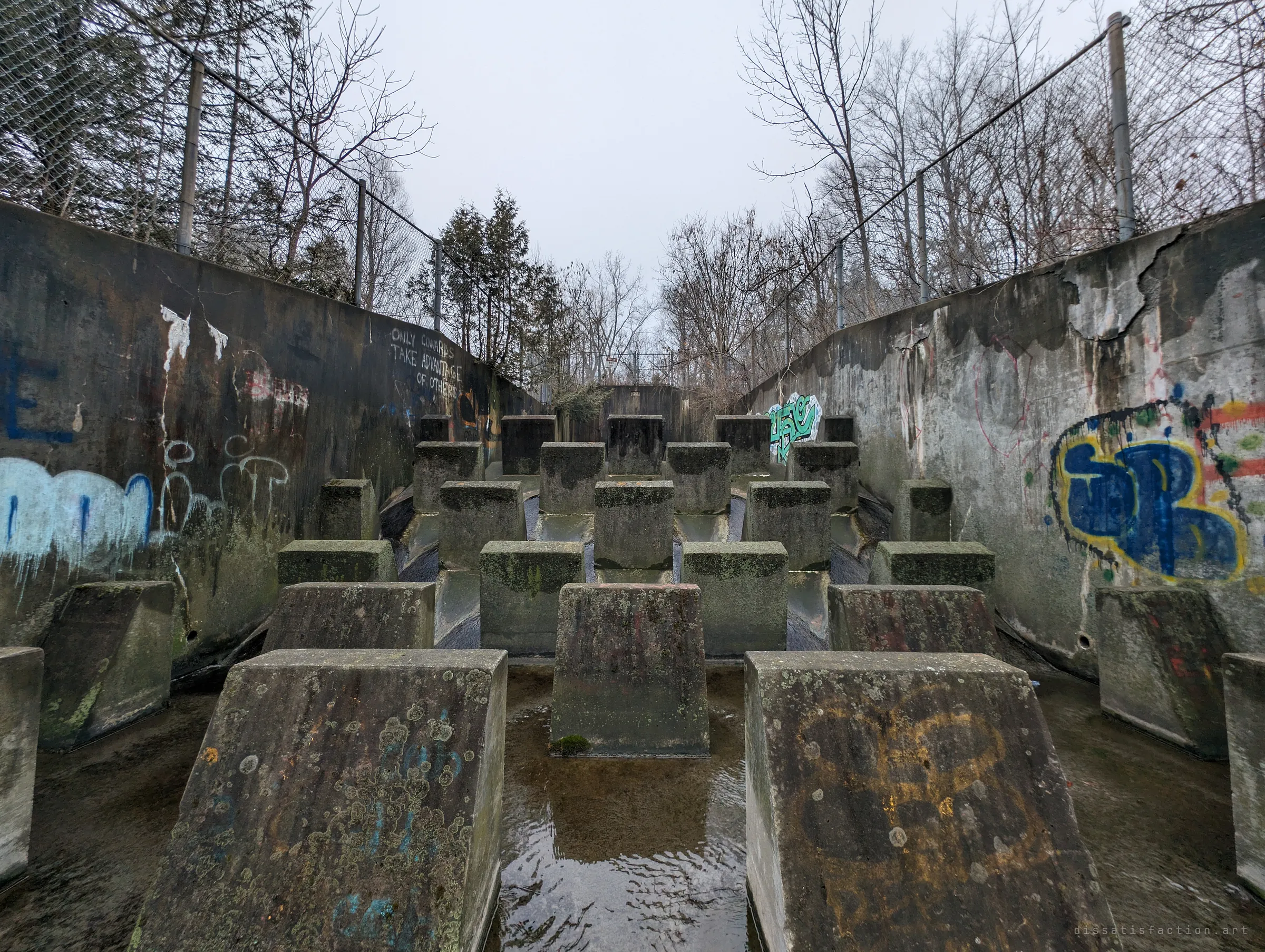 Rows of lichen-crusted concrete baffle blocks fill a fenced channel between graffiti-covered walls. The energy dissipator that slows storm water before it reaches the creek.