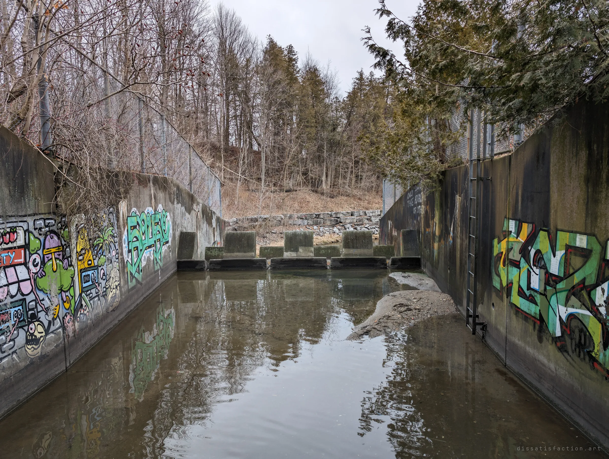 Looking back downstream across the flooded basin, graffiti and cartoon murals line both walls toward a low row of baffle blocks and a wooded slope. Shows how enclosed the outfall basin is.