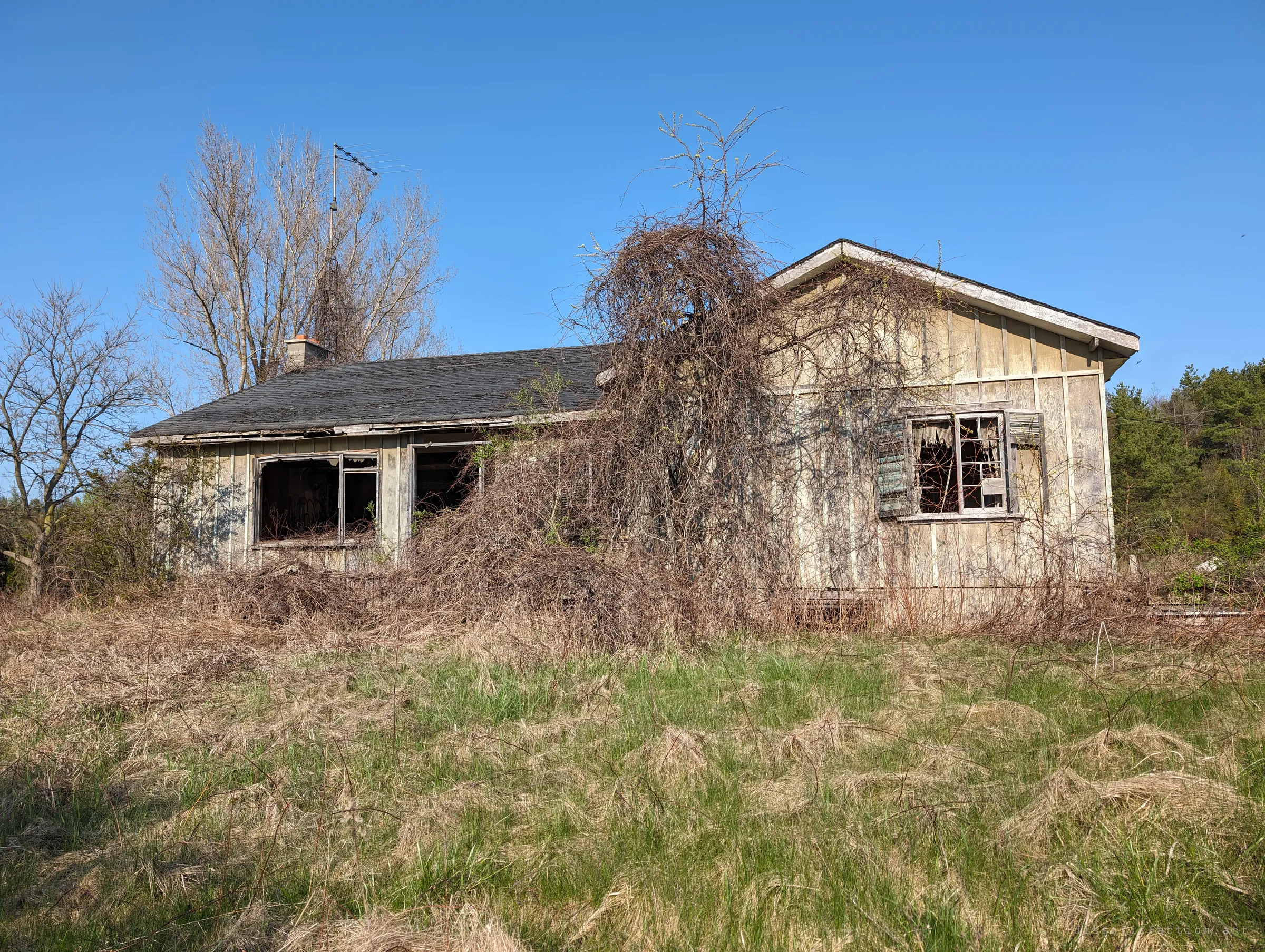 A low, board-and-batten farmhouse sits behind a field of dry grass, its windows smashed and a dead vine collapsing over the gable. It sets the scene: a rural homestead left to the weeds.
