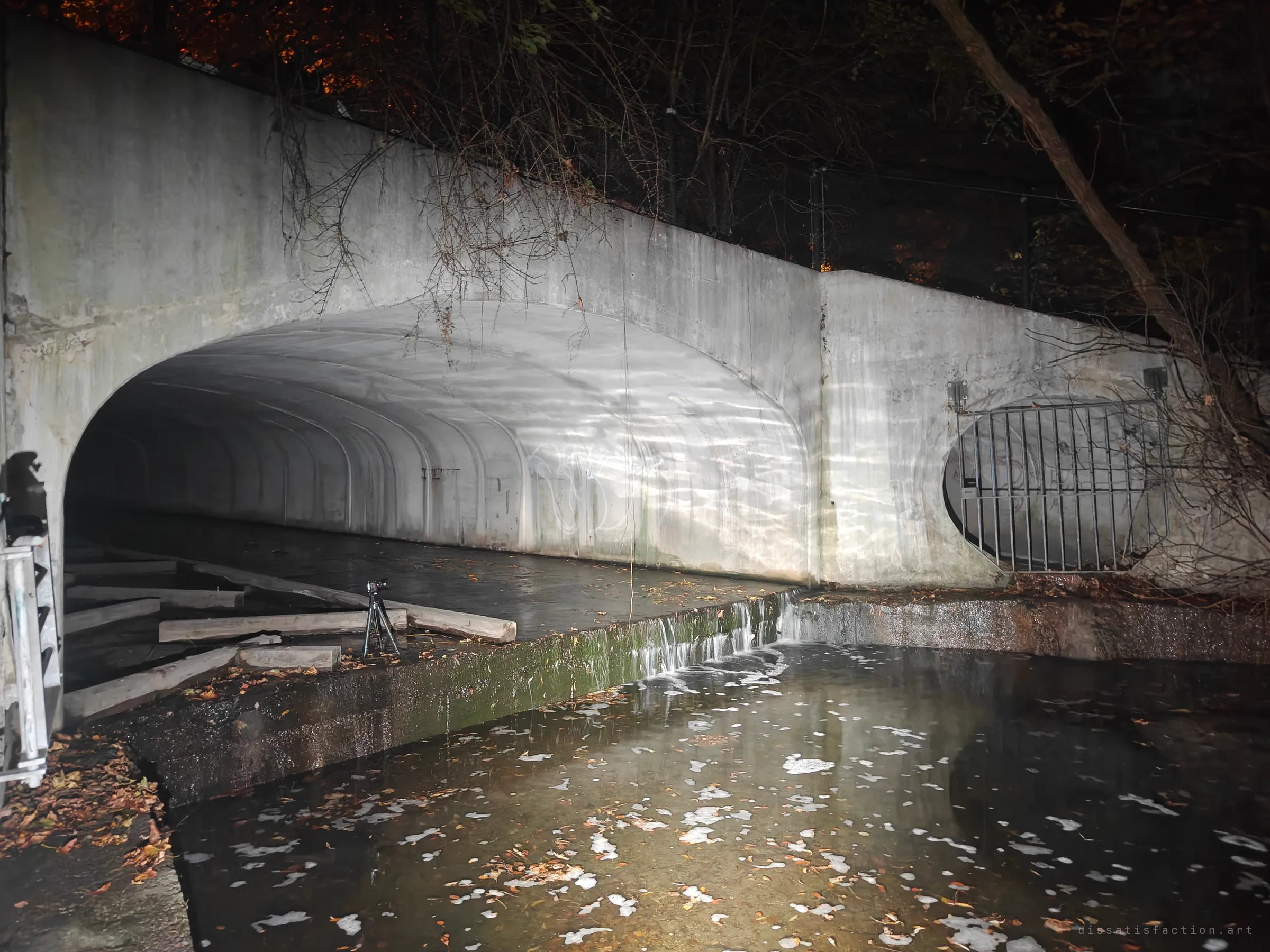 The wide arched mouth of a concrete drain at night with a camera on a tripod on the ledge, a barred round side opening to the right, and foamy leaf-covered water below.