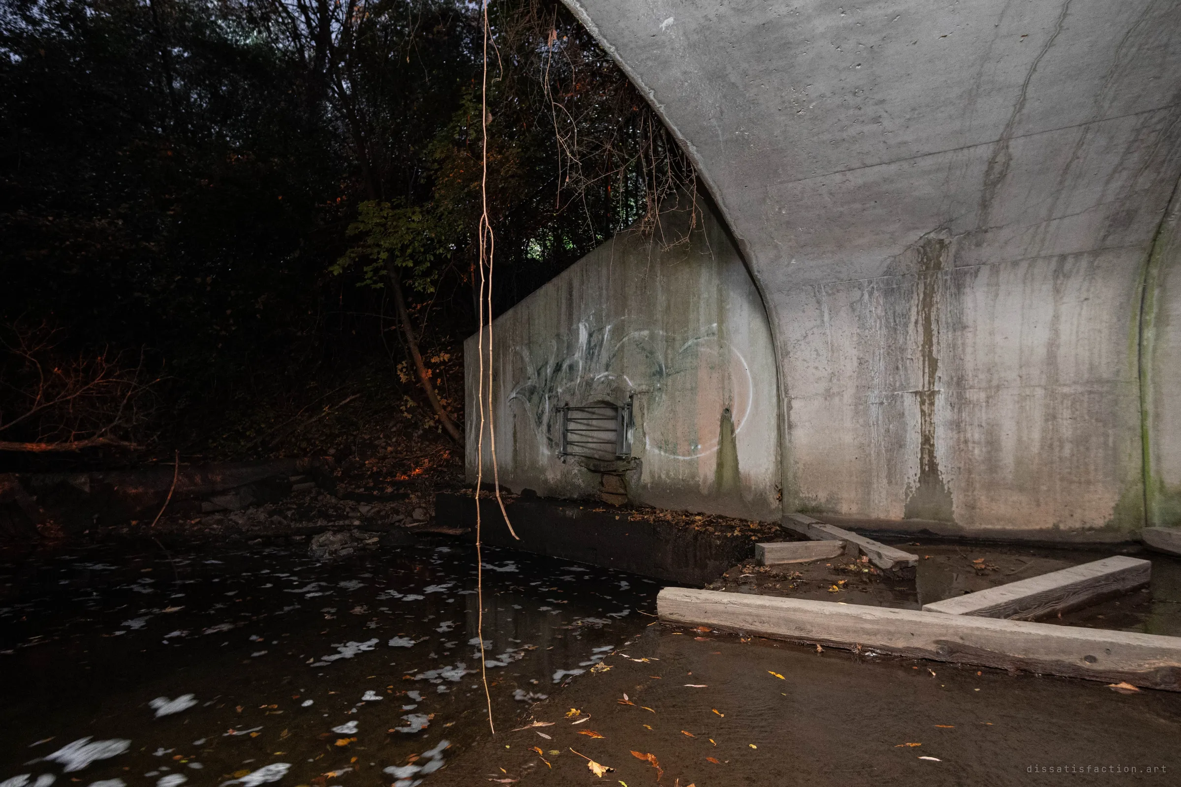 Another view under the concrete arch showing a tagged retaining wall with a small barred outlet, dark pooled creek water with foam, and timber beams lying on the bank.