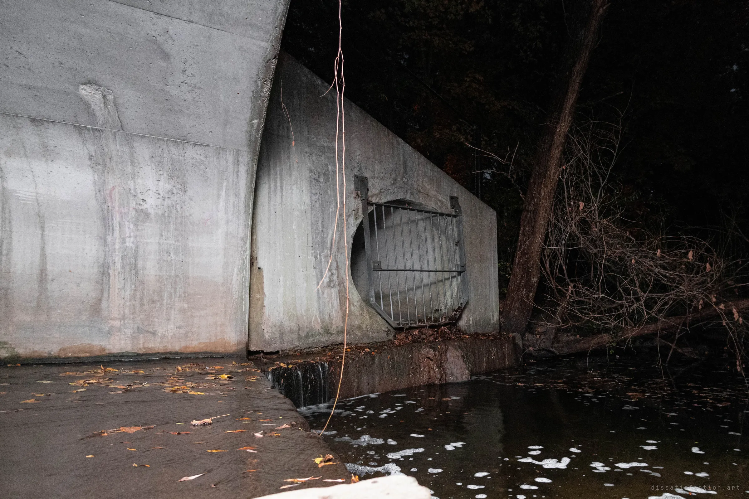 A concrete drain outfall at night, with a round barred opening in an angled wall, a small weir and foamy water in the foreground, and bare branches against the dark.